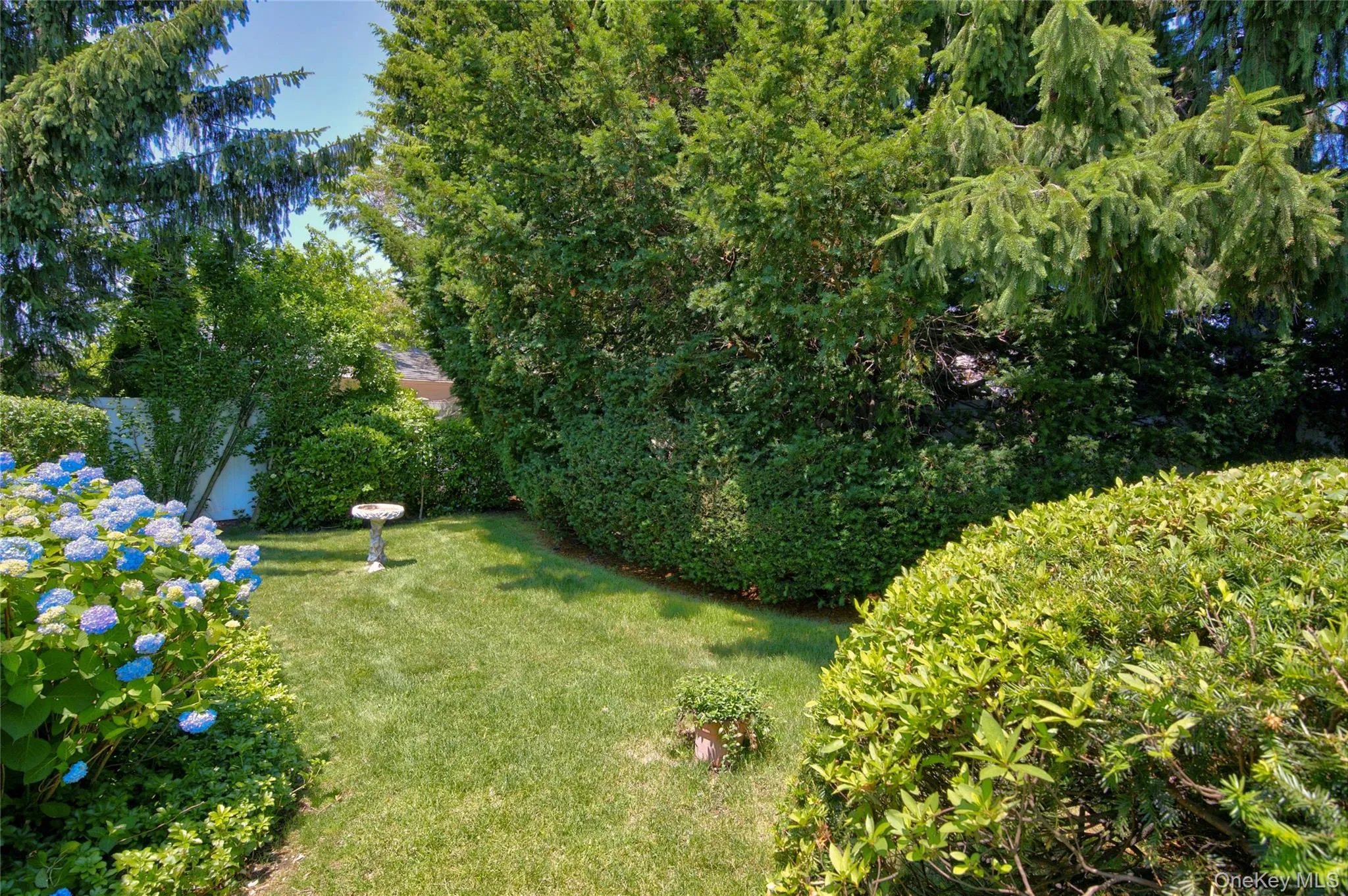 Backyard Backyard
