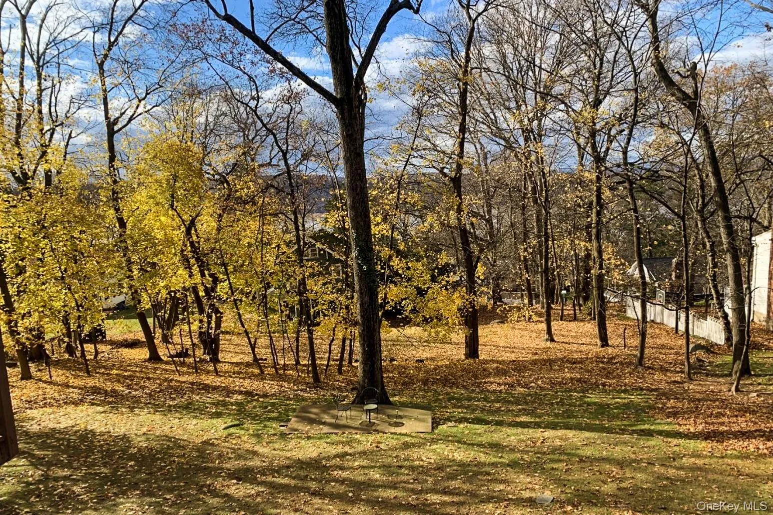 306 Clinton Avenue, Greenburgh, NY, 2 Bedrooms Bedrooms, 3 Rooms Rooms,1 BathroomBathrooms,Residential Lease,For Rent,Clinton,0,1014156 306 Clinton Avenue, Greenburgh, NY, 2 Bedrooms Bedrooms, 3 Rooms Rooms,1 BathroomBathrooms,Residential Lease,For Rent,Clinton,0,1014156