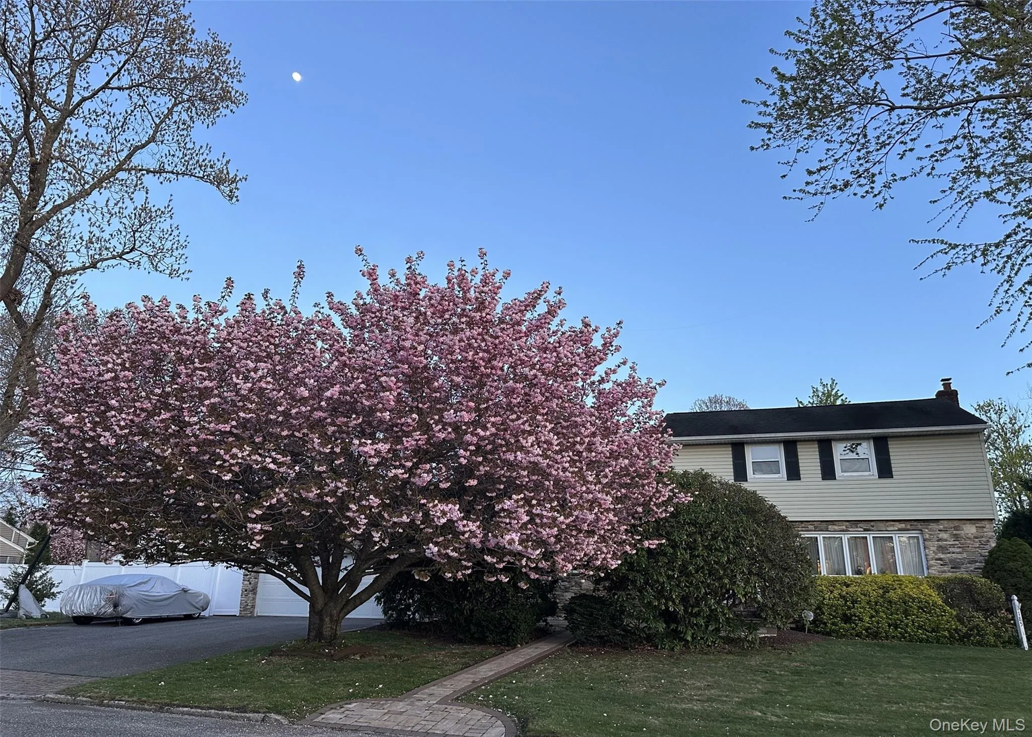 185 Tree Road, Brookhaven, NY, 3 Bedrooms Bedrooms, 8 Rooms Rooms,2 BathroomsBathrooms,Residential,For Rent,Tree,0,1014166 185 Tree Road, Brookhaven, NY, 3 Bedrooms Bedrooms, 8 Rooms Rooms,2 BathroomsBathrooms,Residential,For Rent,Tree,0,1014166