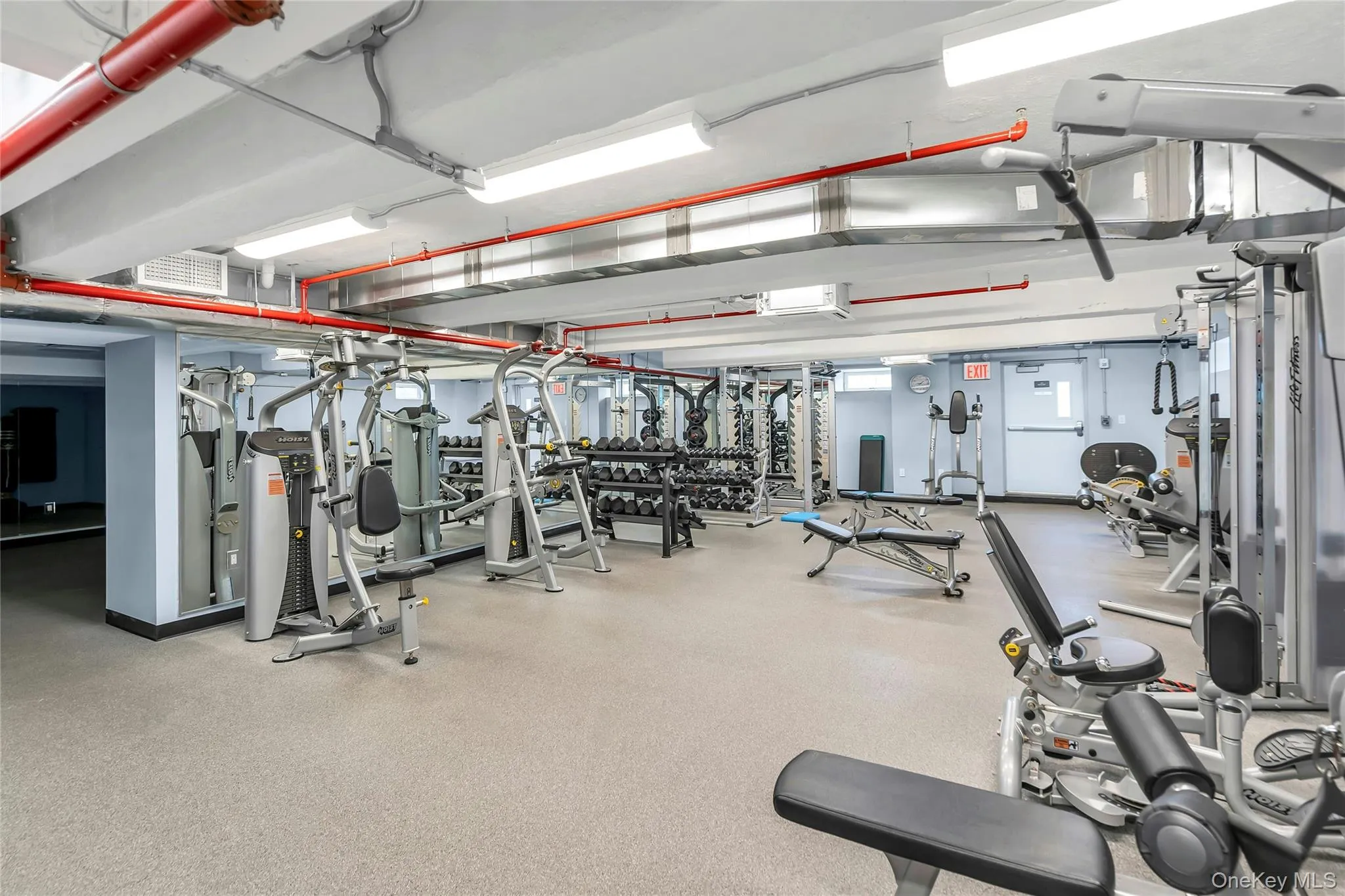 Overview of Fitness Equipment Overview of Fitness Equipment