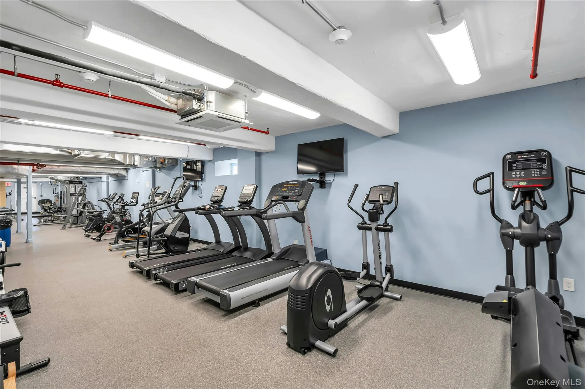 2 Richmond Road, Hempstead, NY, 1 Bedroom Bedrooms, 4 Rooms Rooms,1 BathroomBathrooms,Residential,For Rent,Richmond,0,1014176 2 Richmond Road, Hempstead, NY, 1 Bedroom Bedrooms, 4 Rooms Rooms,1 BathroomBathrooms,Residential,For Rent,Richmond,0,1014176