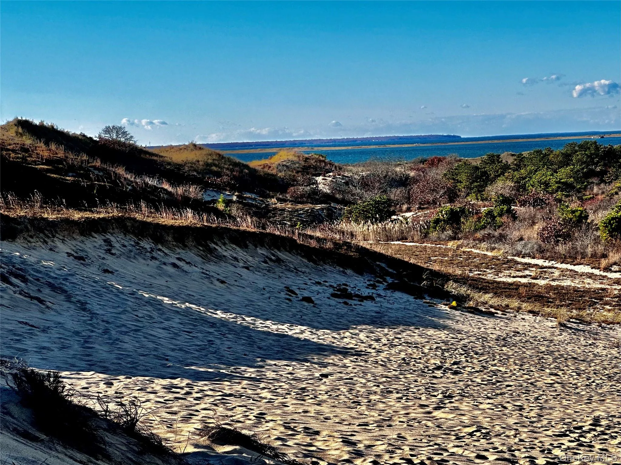 Dunes - Serene Ocean Front Living Dunes - Serene Ocean Front Living