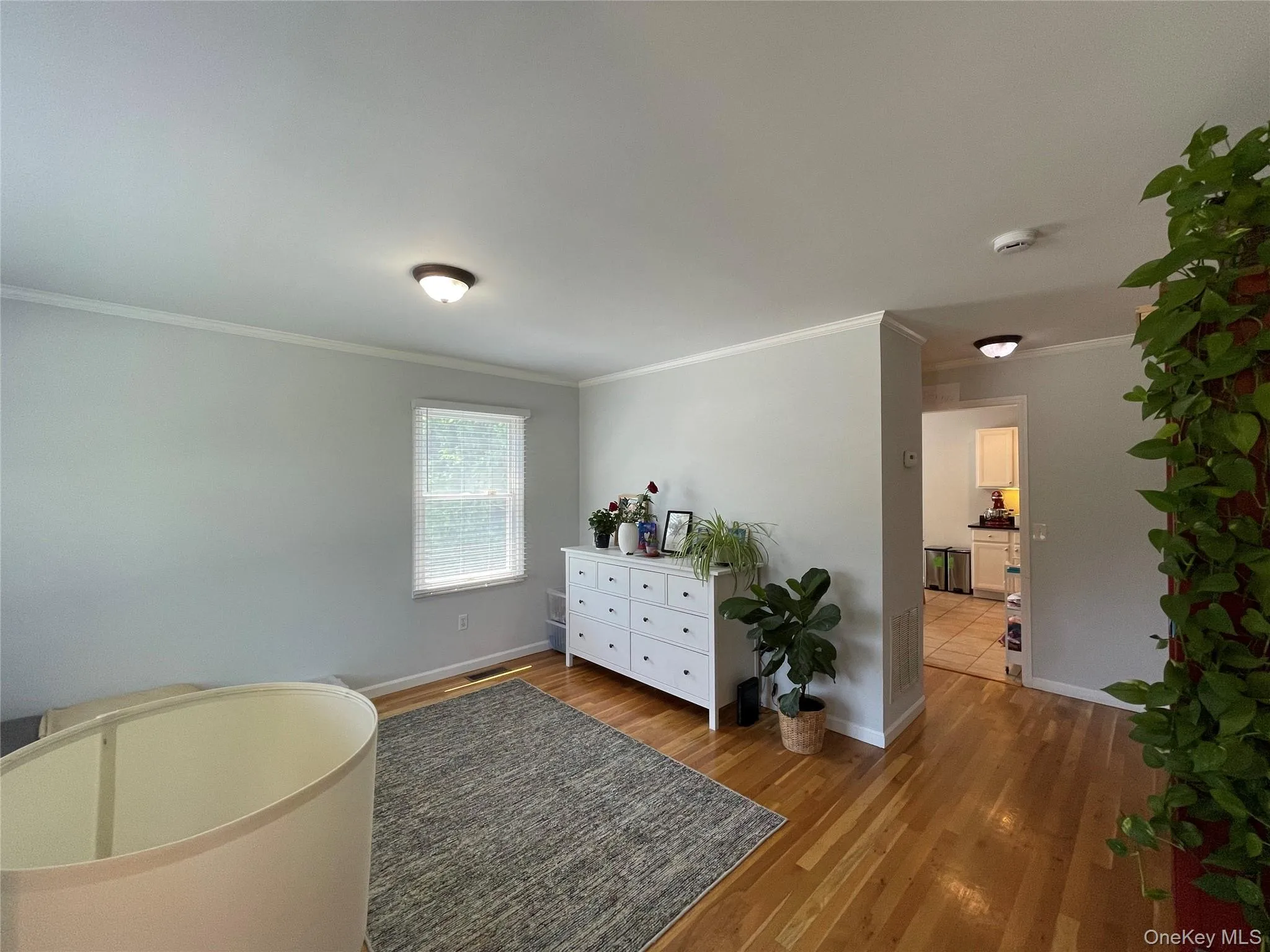 46 Maple Avenue, Rye City, NY, 2 Bedrooms Bedrooms, 4 Rooms Rooms,1 BathroomBathrooms,Residential Lease,For Rent,Maple,0,1014239 46 Maple Avenue, Rye City, NY, 2 Bedrooms Bedrooms, 4 Rooms Rooms,1 BathroomBathrooms,Residential Lease,For Rent,Maple,0,1014239
