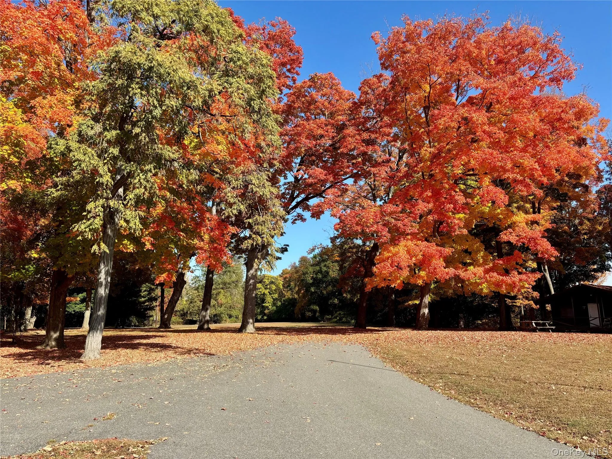 Autumn at Croton Point Park Autumn at Croton Point Park