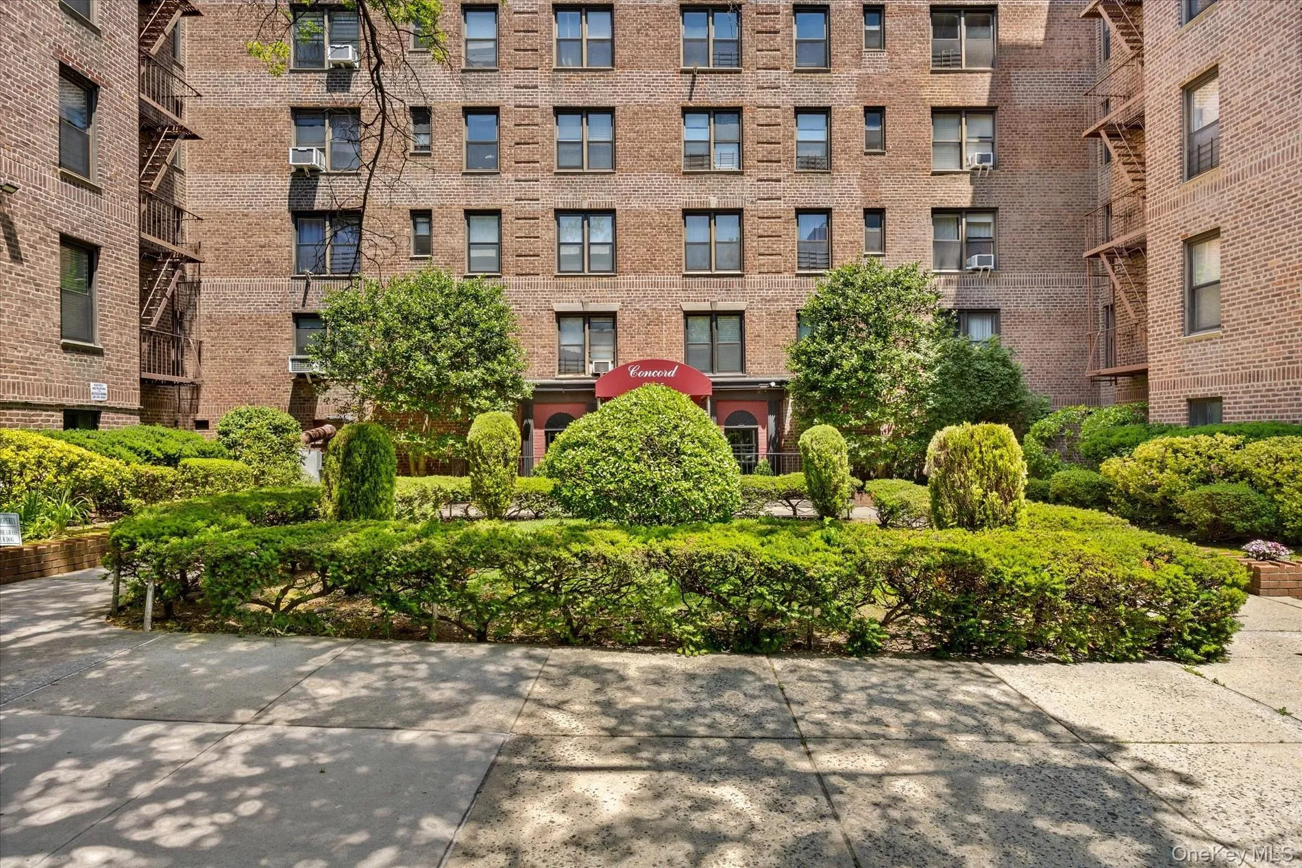 83-15 98th Street, New York, NY, 1 Bedroom Bedrooms, 3 Rooms Rooms,1 BathroomBathrooms,Residential,For Rent,98th,0,1014264 83-15 98th Street, New York, NY, 1 Bedroom Bedrooms, 3 Rooms Rooms,1 BathroomBathrooms,Residential,For Rent,98th,0,1014264