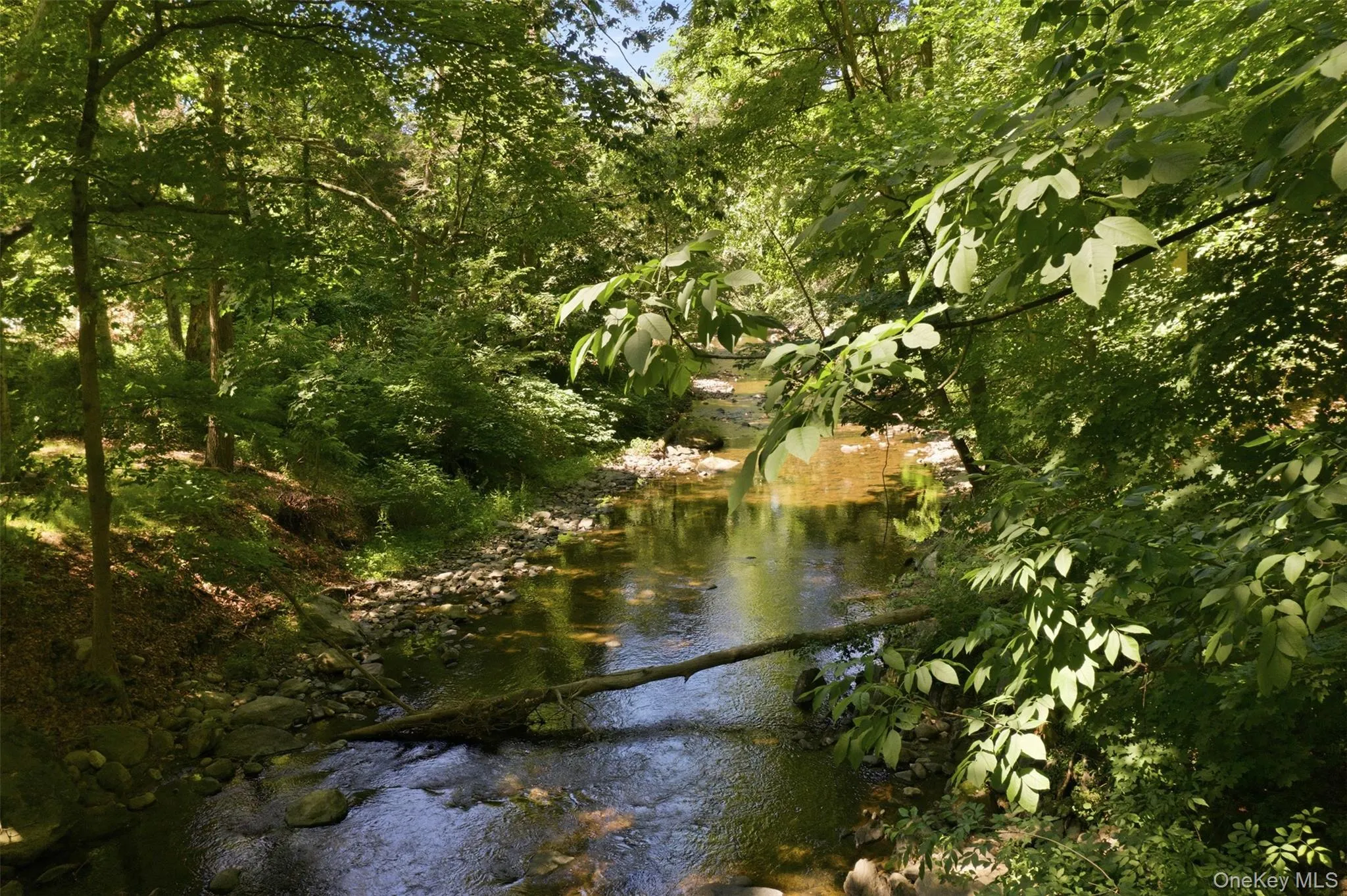 Shared Stream. Shared Stream.