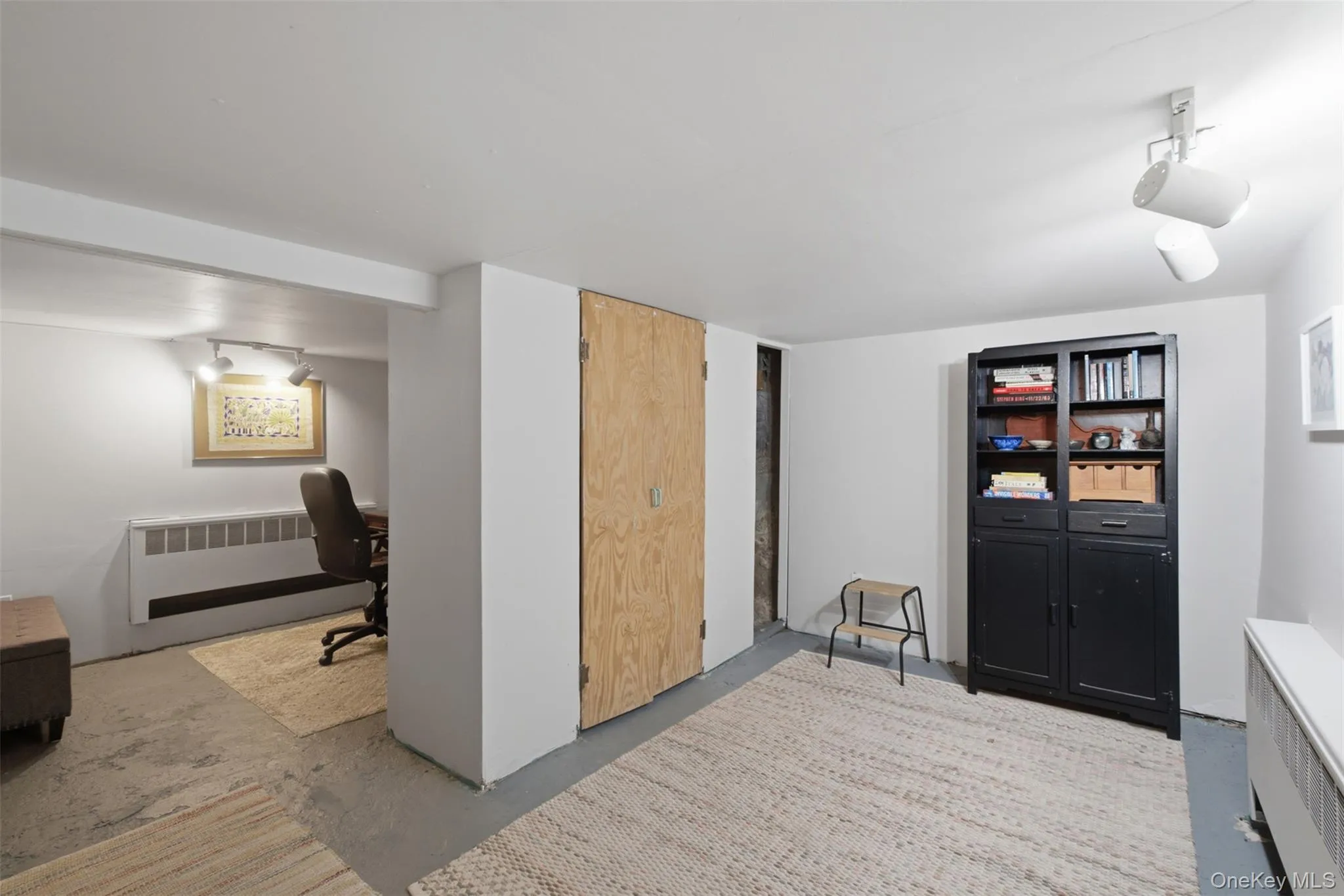 Partially Finished Basement. Partially Finished Basement.