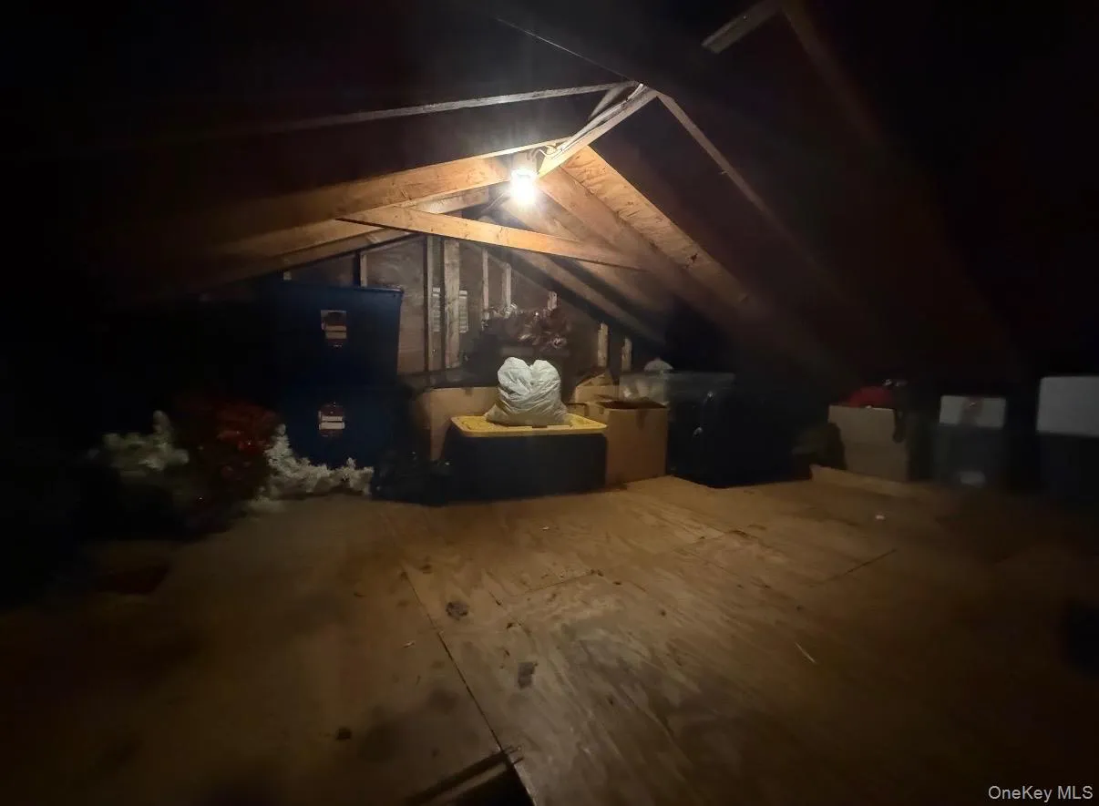 Pull Down Stairs to Full Attic with Storage Pull Down Stairs to Full Attic with Storage