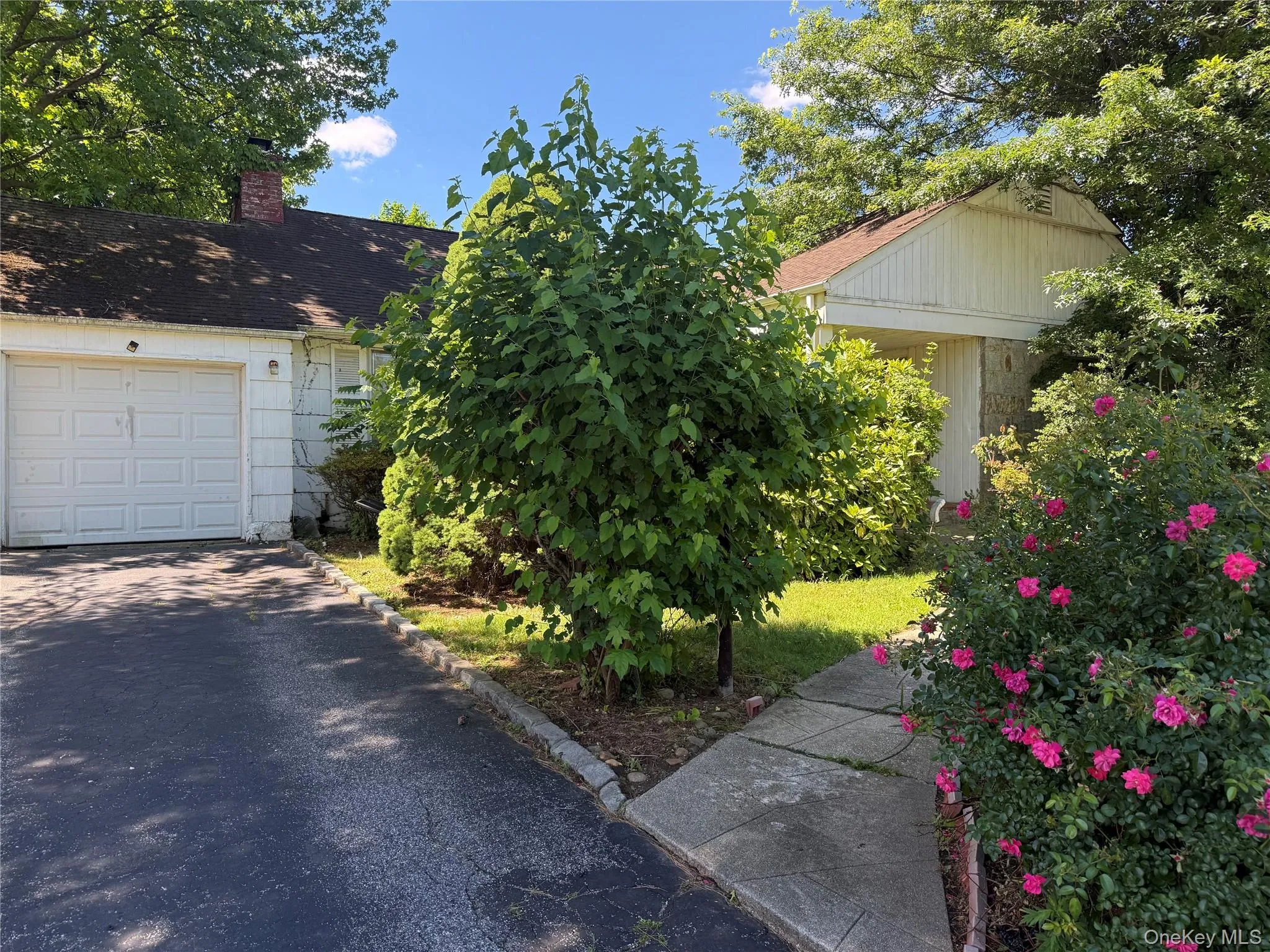 208 Overlook Terrace, North Hempstead, NY, 3 Bedrooms Bedrooms, 7 Rooms Rooms,2 BathroomsBathrooms,Residential,For Rent,Overlook,0,1014282 208 Overlook Terrace, North Hempstead, NY, 3 Bedrooms Bedrooms, 7 Rooms Rooms,2 BathroomsBathrooms,Residential,For Rent,Overlook,0,1014282