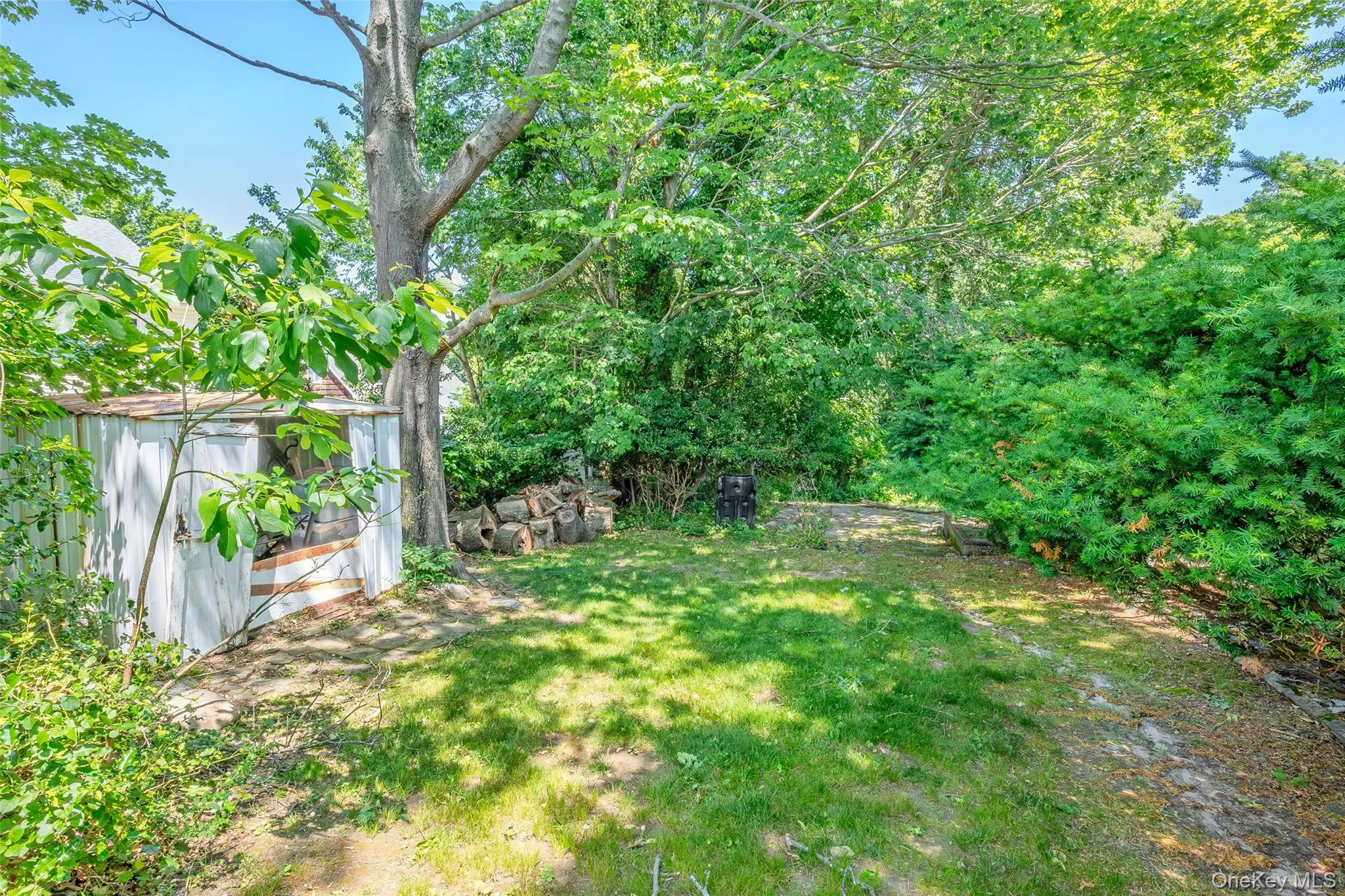97 Maple Road, Brookhaven, NY, 3 Bedrooms Bedrooms, 6 Rooms Rooms,1 BathroomBathrooms,Residential,For Rent,Maple,0,1014283 97 Maple Road, Brookhaven, NY, 3 Bedrooms Bedrooms, 6 Rooms Rooms,1 BathroomBathrooms,Residential,For Rent,Maple,0,1014283