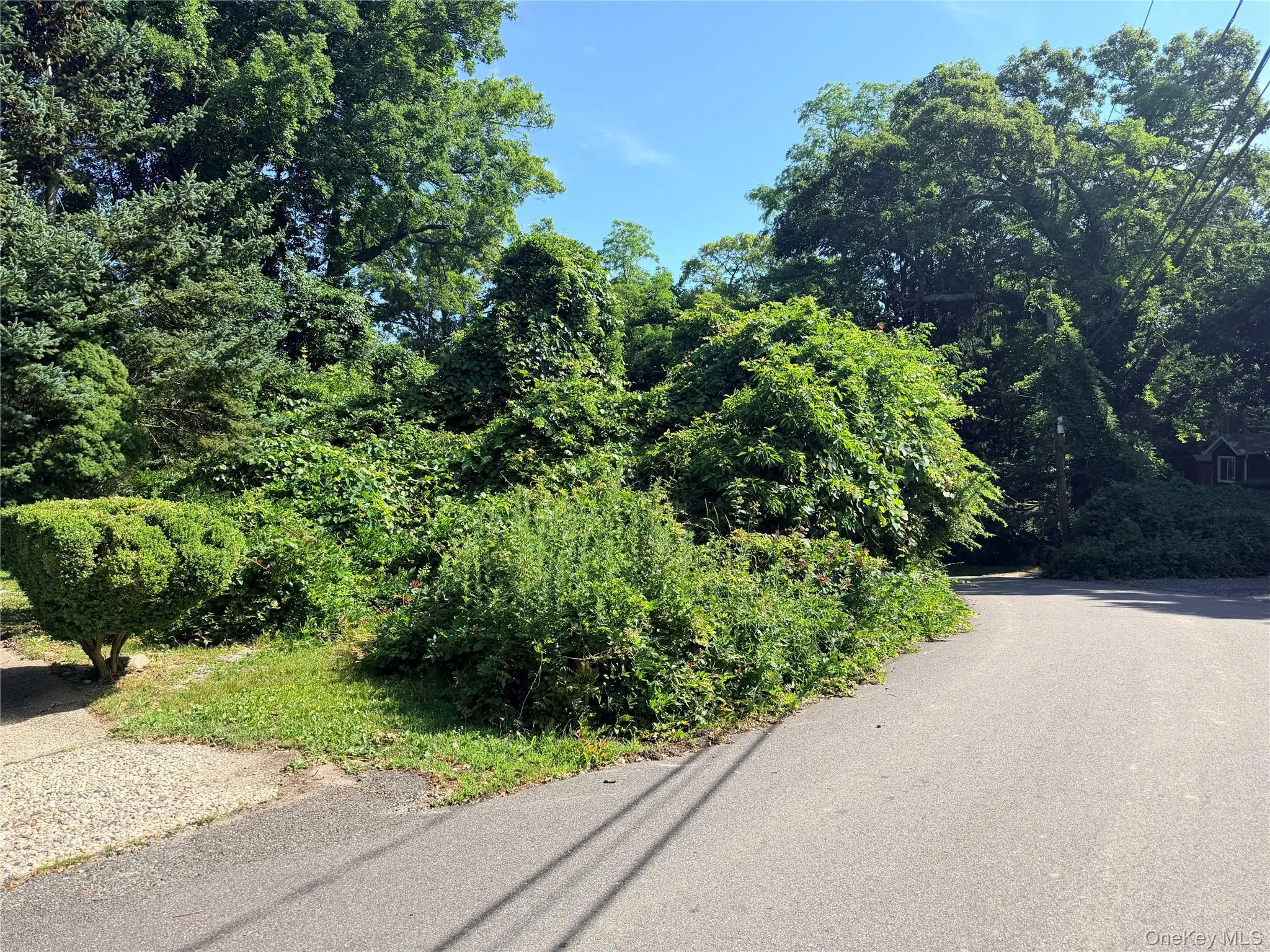 97 Maple Road, Brookhaven, NY, 3 Bedrooms Bedrooms, 6 Rooms Rooms,1 BathroomBathrooms,Residential,For Rent,Maple,0,1014283 97 Maple Road, Brookhaven, NY, 3 Bedrooms Bedrooms, 6 Rooms Rooms,1 BathroomBathrooms,Residential,For Rent,Maple,0,1014283