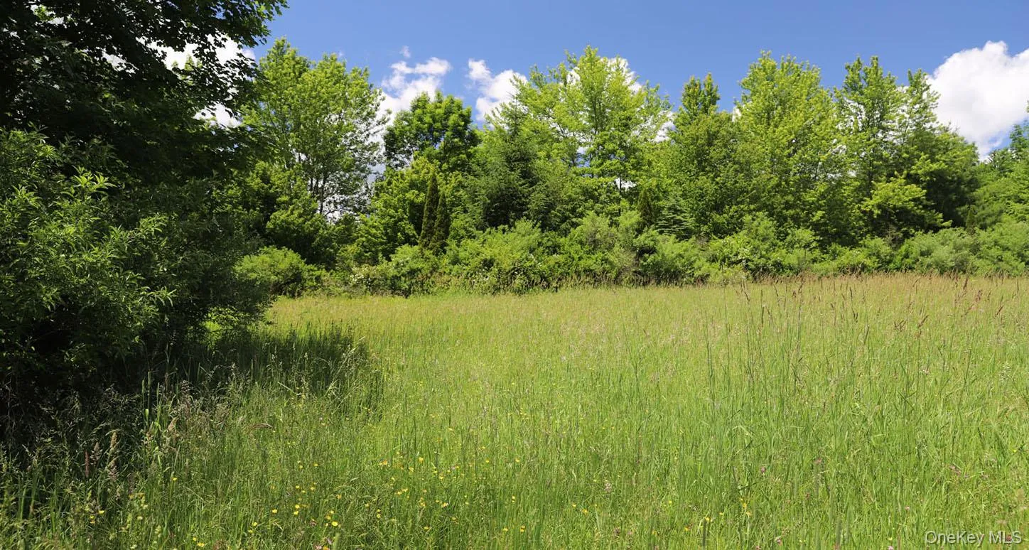 Meadow to treeline Meadow to treeline