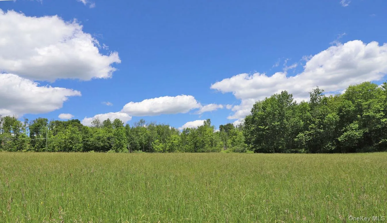 Meadow to treeline Meadow to treeline