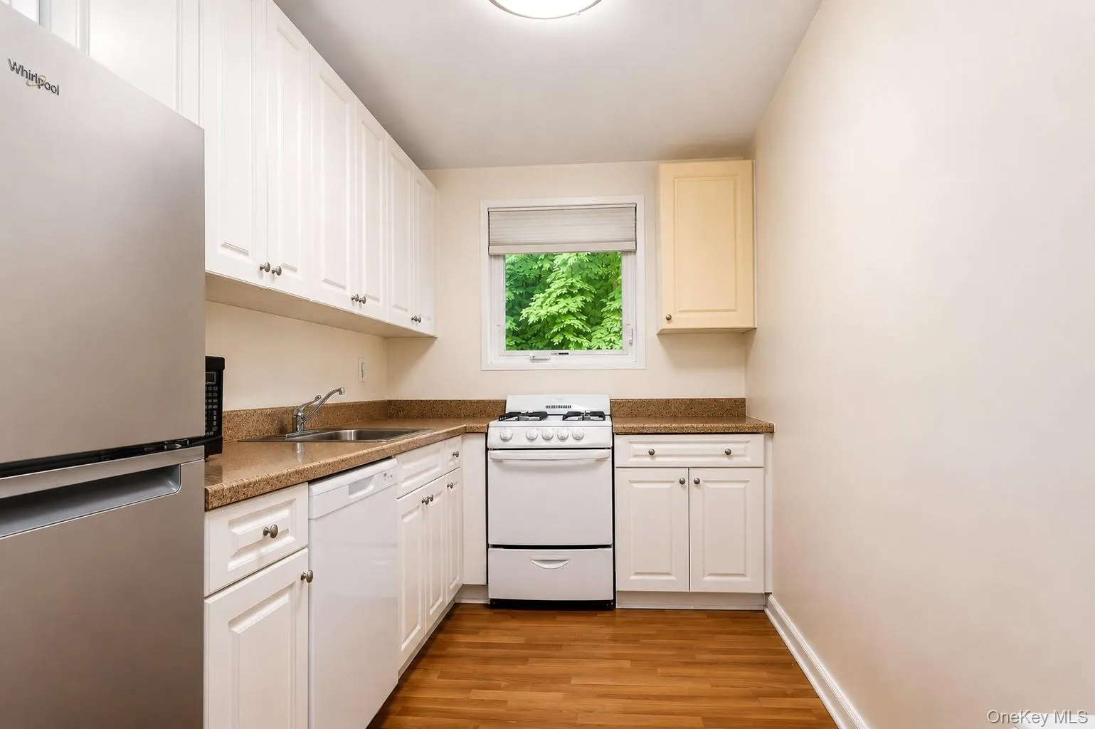 28 Oregon Avenue, Eastchester, NY, 1 Bedroom Bedrooms, 3 Rooms Rooms,1 BathroomBathrooms,Residential,For Rent,Oregon,0,1014330 28 Oregon Avenue, Eastchester, NY, 1 Bedroom Bedrooms, 3 Rooms Rooms,1 BathroomBathrooms,Residential,For Rent,Oregon,0,1014330