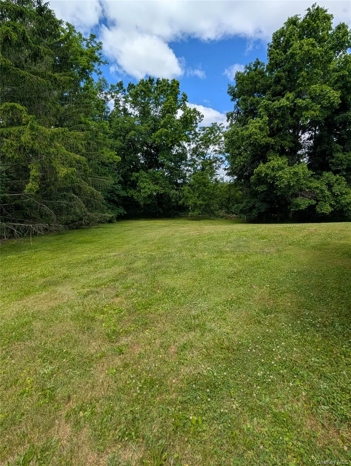11 Kevin Court, Crawford, NY, 4 Bedrooms Bedrooms, 9 Rooms Rooms,2 BathroomsBathrooms,Residential,For Rent,Kevin,0,1014332 11 Kevin Court, Crawford, NY, 4 Bedrooms Bedrooms, 9 Rooms Rooms,2 BathroomsBathrooms,Residential,For Rent,Kevin,0,1014332