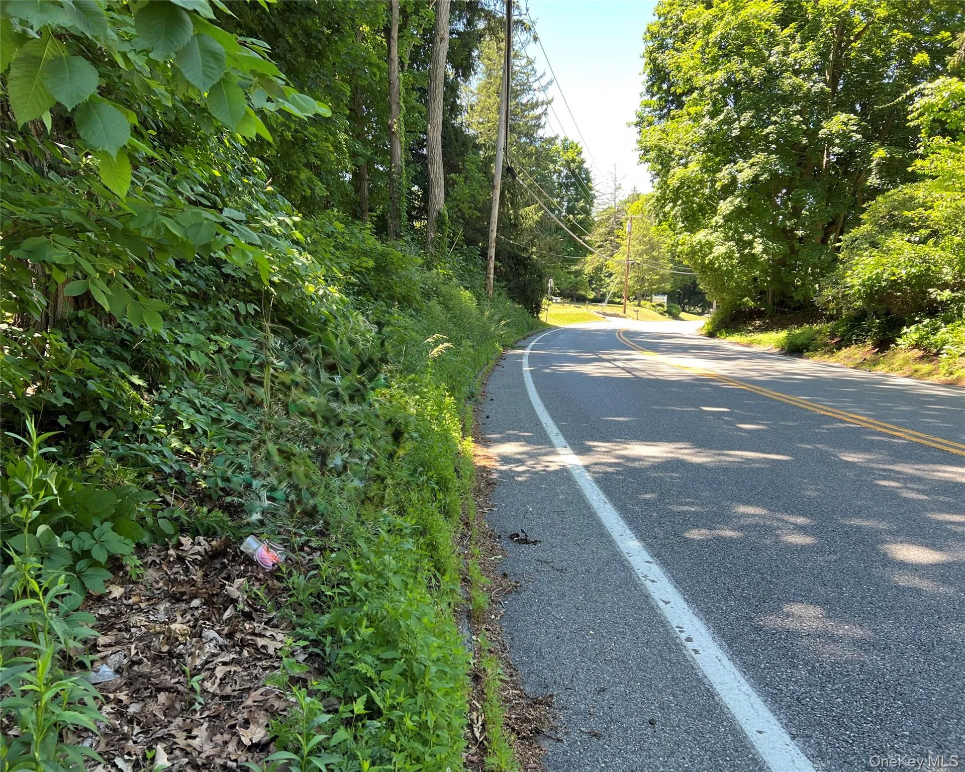 00 Baldwin Place Road, Carmel, NY, ,Land,For Rent,Baldwin Place,0,1014337 00 Baldwin Place Road, Carmel, NY, ,Land,For Rent,Baldwin Place,0,1014337
