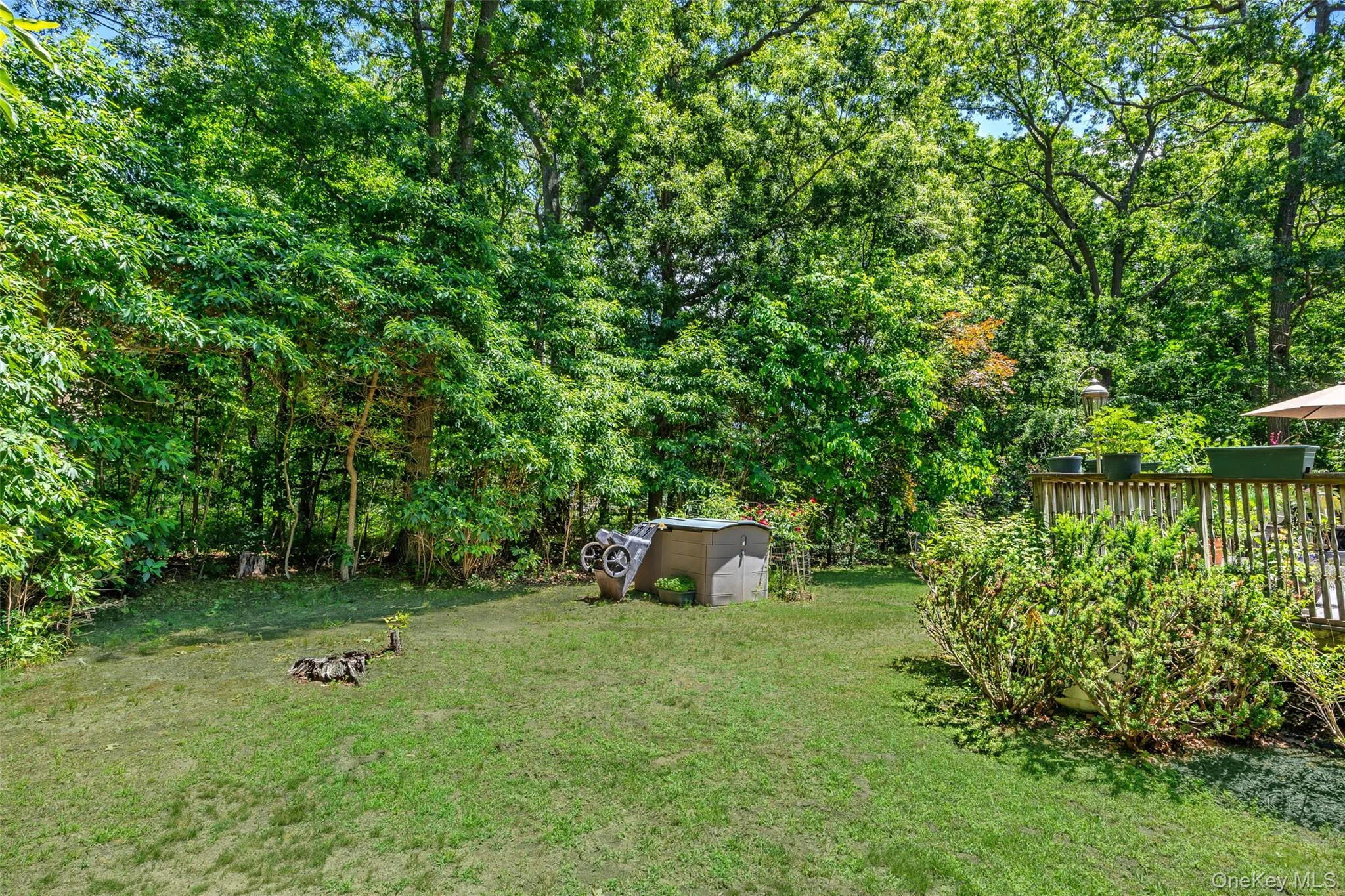 67 Oak Street, Brookhaven, NY, 4 Bedrooms Bedrooms, 10 Rooms Rooms,3 BathroomsBathrooms,Residential,For Rent,Oak,0,1014370 67 Oak Street, Brookhaven, NY, 4 Bedrooms Bedrooms, 10 Rooms Rooms,3 BathroomsBathrooms,Residential,For Rent,Oak,0,1014370