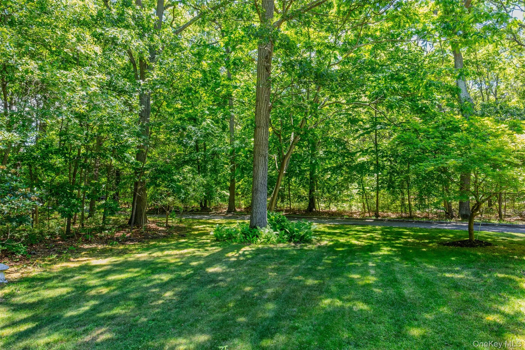 67 Oak Street, Brookhaven, NY, 4 Bedrooms Bedrooms, 10 Rooms Rooms,3 BathroomsBathrooms,Residential,For Rent,Oak,0,1014370 67 Oak Street, Brookhaven, NY, 4 Bedrooms Bedrooms, 10 Rooms Rooms,3 BathroomsBathrooms,Residential,For Rent,Oak,0,1014370