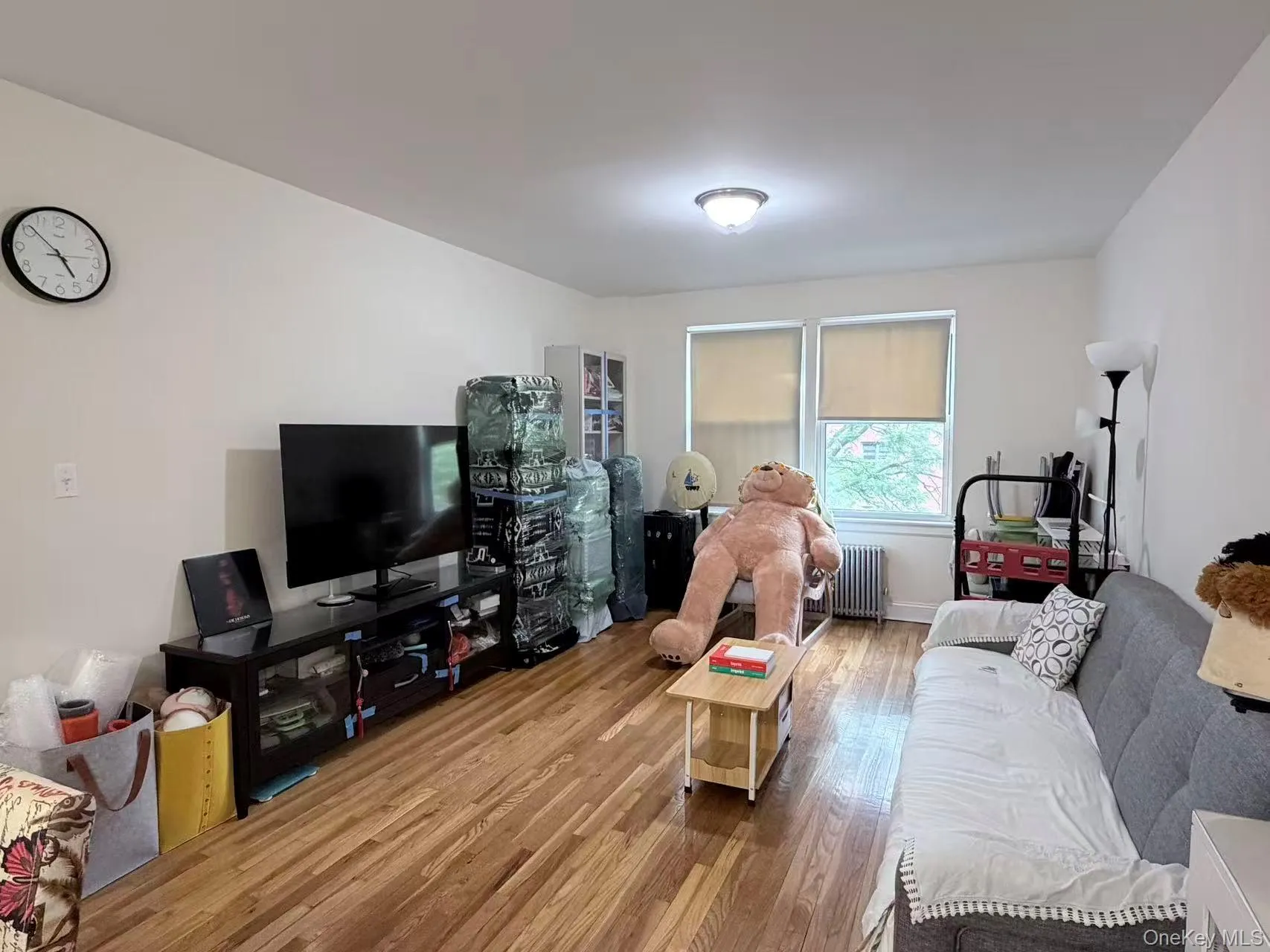 141-48 78th Ave, New York, NY, 1 Bedroom Bedrooms, 3 Rooms Rooms,1 BathroomBathrooms,Residential,For Rent,78th Ave,0,1014424 141-48 78th Ave, New York, NY, 1 Bedroom Bedrooms, 3 Rooms Rooms,1 BathroomBathrooms,Residential,For Rent,78th Ave,0,1014424