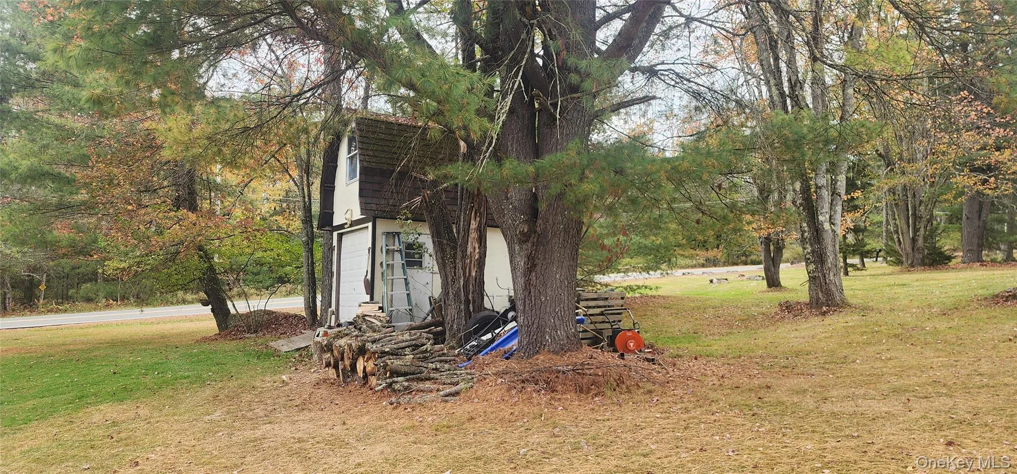 565 Cold Spring Road, Thompson, NY, 2 Bedrooms Bedrooms, 5 Rooms Rooms,1 BathroomBathrooms,Residential,For Rent,Cold Spring,0,1014425 565 Cold Spring Road, Thompson, NY, 2 Bedrooms Bedrooms, 5 Rooms Rooms,1 BathroomBathrooms,Residential,For Rent,Cold Spring,0,1014425