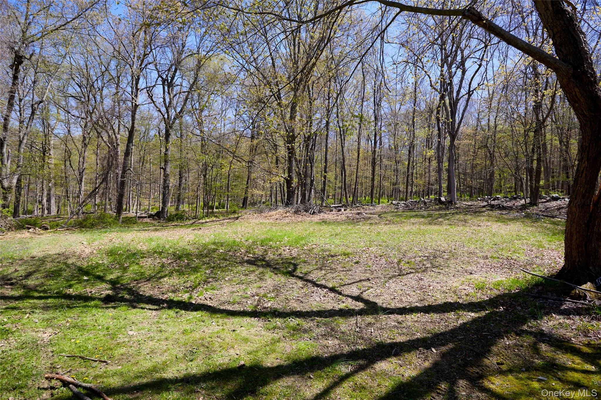 32 Cole Road, La Grange, NY, 4 Bedrooms Bedrooms, 14 Rooms Rooms,2 BathroomsBathrooms,Residential,For Rent,Cole,0,1014436 32 Cole Road, La Grange, NY, 4 Bedrooms Bedrooms, 14 Rooms Rooms,2 BathroomsBathrooms,Residential,For Rent,Cole,0,1014436
