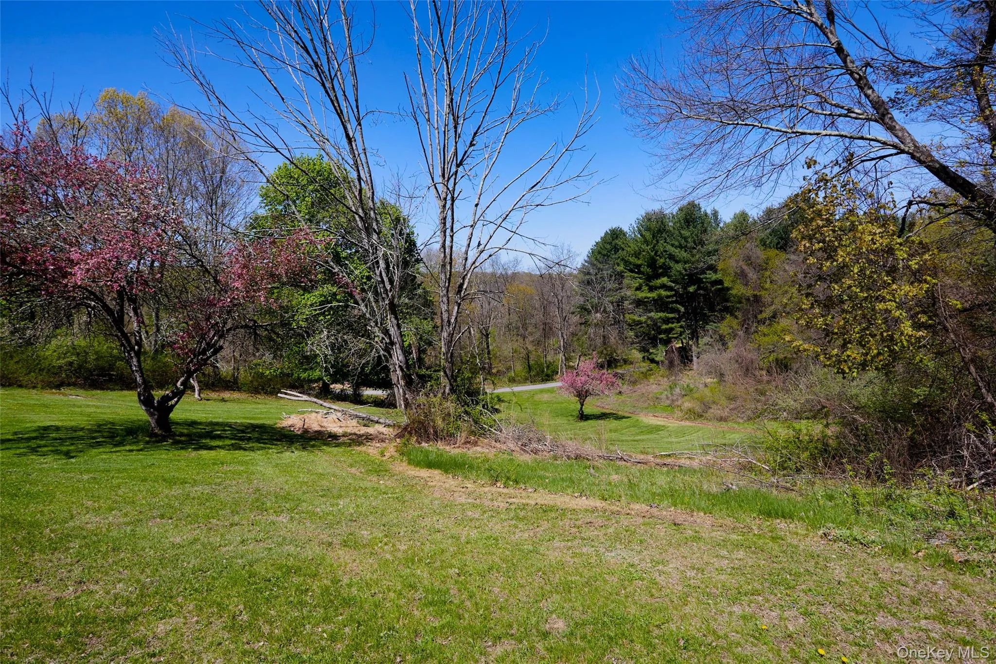 32 Cole Road, La Grange, NY, 4 Bedrooms Bedrooms, 14 Rooms Rooms,2 BathroomsBathrooms,Residential,For Rent,Cole,0,1014436 32 Cole Road, La Grange, NY, 4 Bedrooms Bedrooms, 14 Rooms Rooms,2 BathroomsBathrooms,Residential,For Rent,Cole,0,1014436