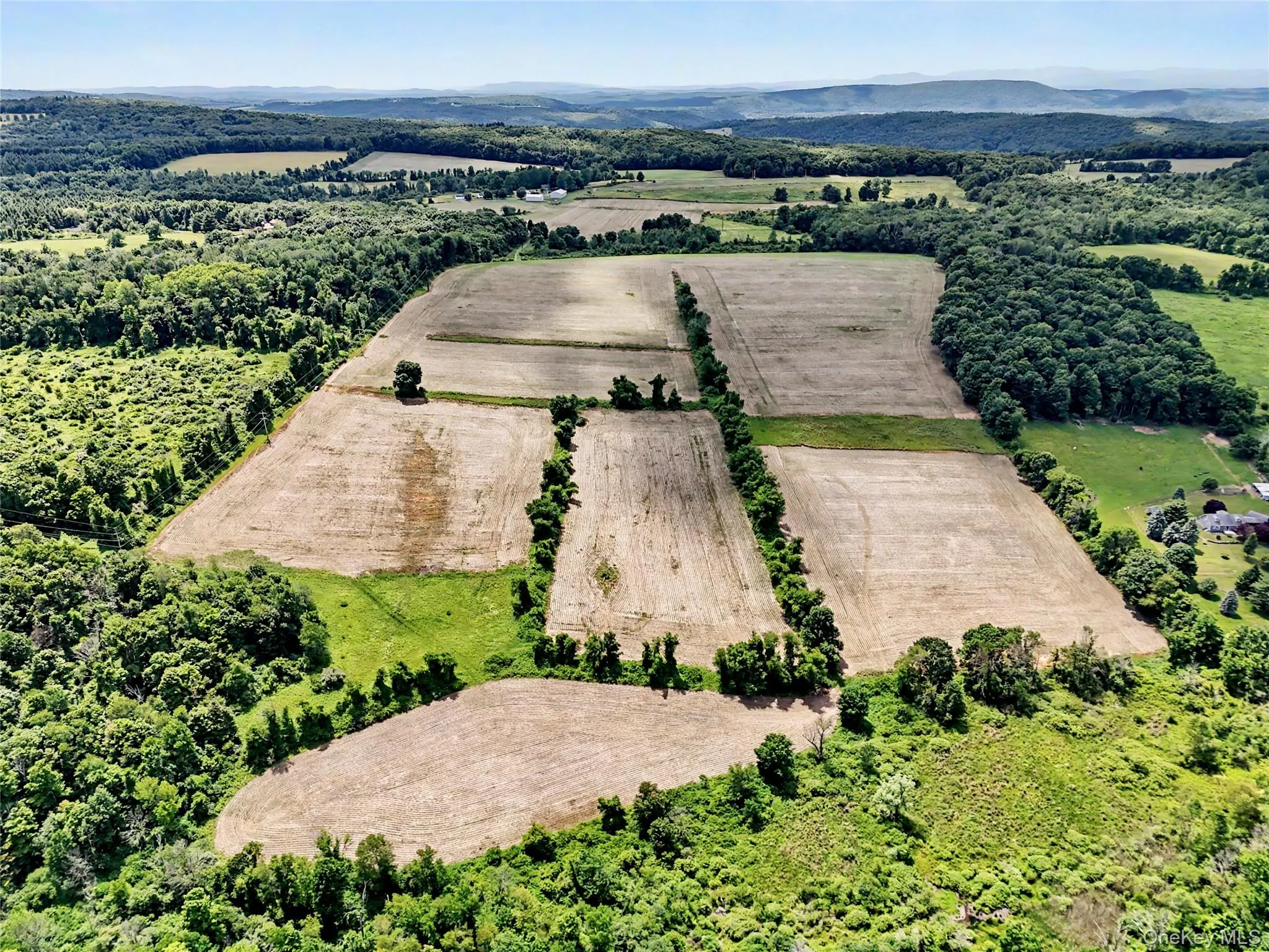 317 Skunks Misery Road, Pine Plains, NY, ,Land,For Rent,Skunks Misery,0,1014454 317 Skunks Misery Road, Pine Plains, NY, ,Land,For Rent,Skunks Misery,0,1014454