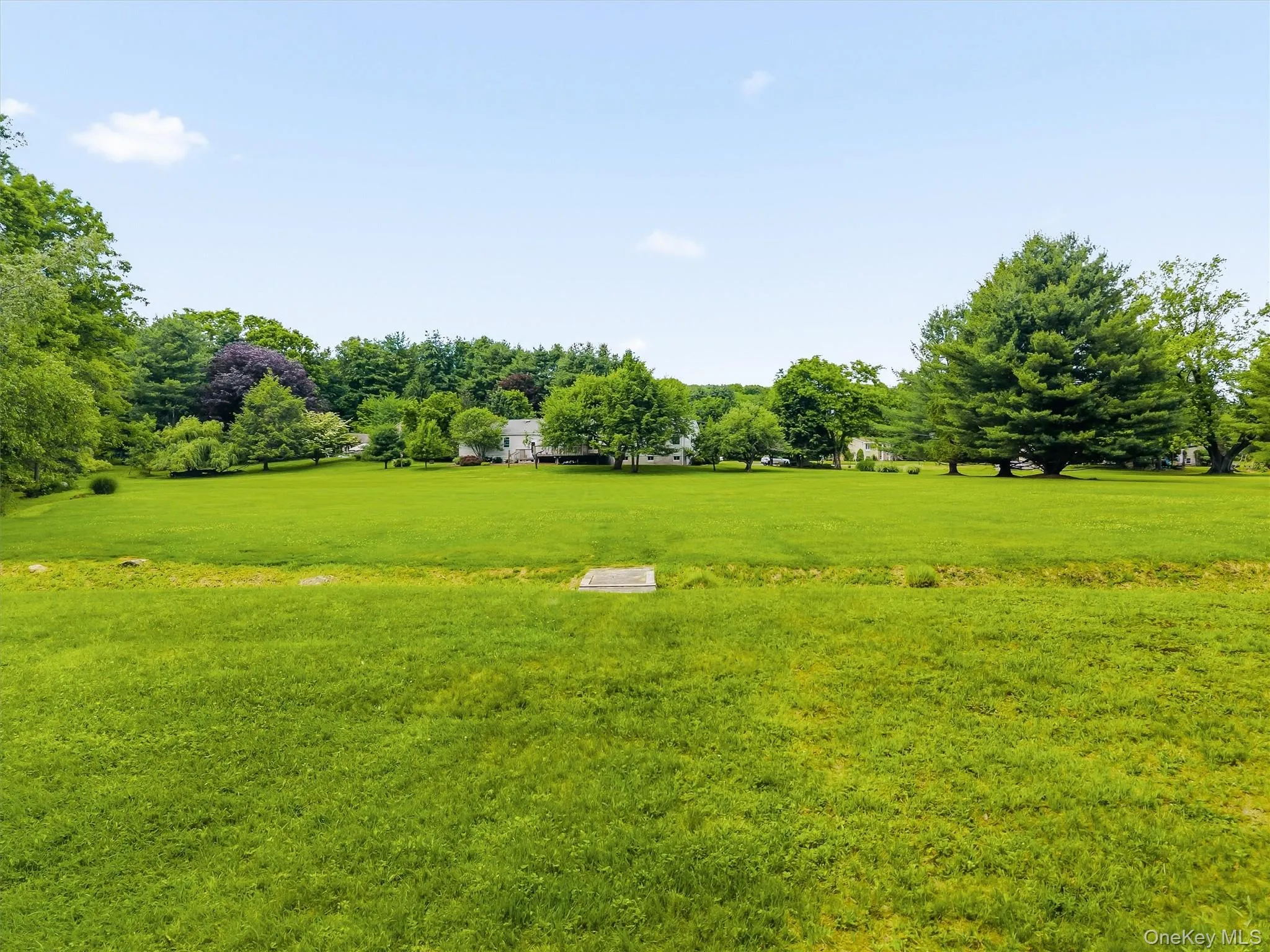 18 Maureen Lane, Middletown, NY, 4 Bedrooms Bedrooms, 7 Rooms Rooms,2 BathroomsBathrooms,Residential,For Rent,Maureen,0,1014474 18 Maureen Lane, Middletown, NY, 4 Bedrooms Bedrooms, 7 Rooms Rooms,2 BathroomsBathrooms,Residential,For Rent,Maureen,0,1014474