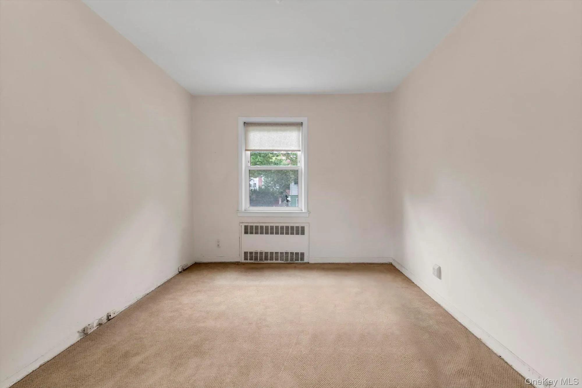 141-03 Hoover Avenue, New York, NY, 3 Bedrooms Bedrooms, 7 Rooms Rooms,1 BathroomBathrooms,Residential,For Rent,Hoover,0,1014494 141-03 Hoover Avenue, New York, NY, 3 Bedrooms Bedrooms, 7 Rooms Rooms,1 BathroomBathrooms,Residential,For Rent,Hoover,0,1014494