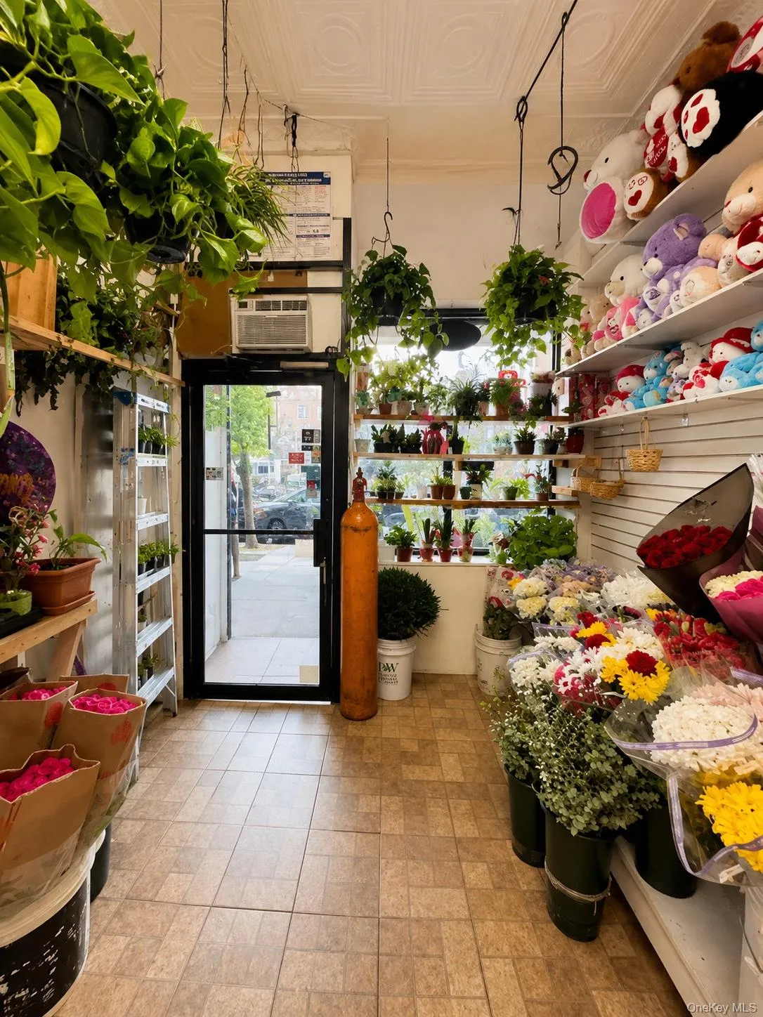 282 knickerbocker Avenue, New York, NY, ,Commercial Lease,For Rent,knickerbocker,0,1014534 282 knickerbocker Avenue, New York, NY, ,Commercial Lease,For Rent,knickerbocker,0,1014534