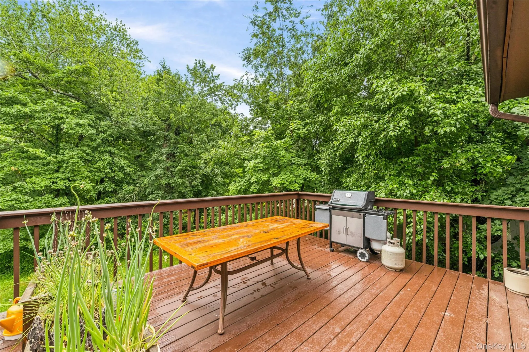 Nice size Deck Nice size Deck