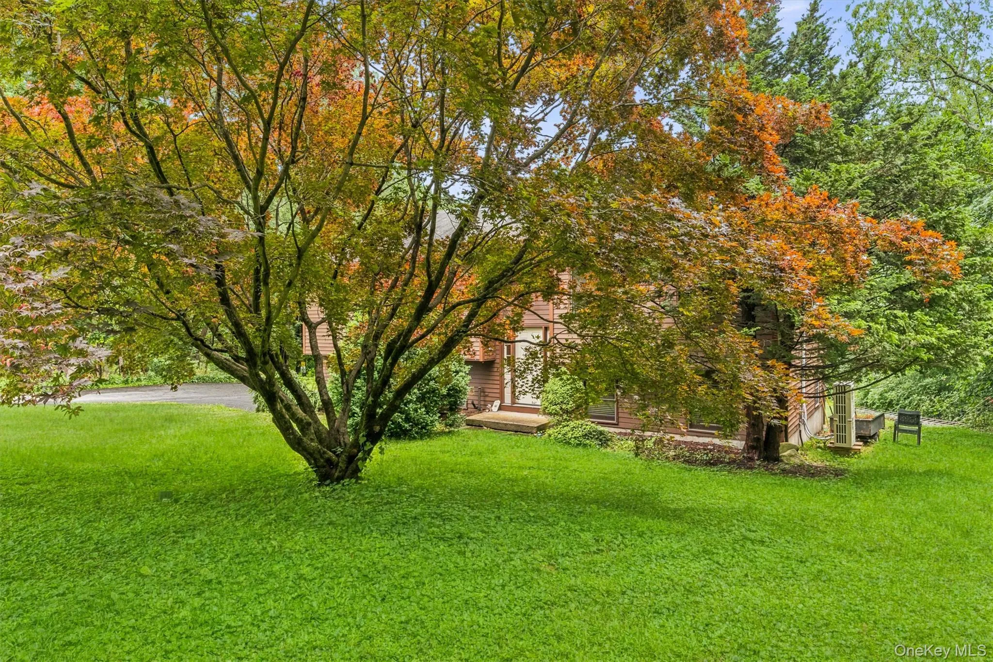 Gorgeous Tree Gorgeous Tree