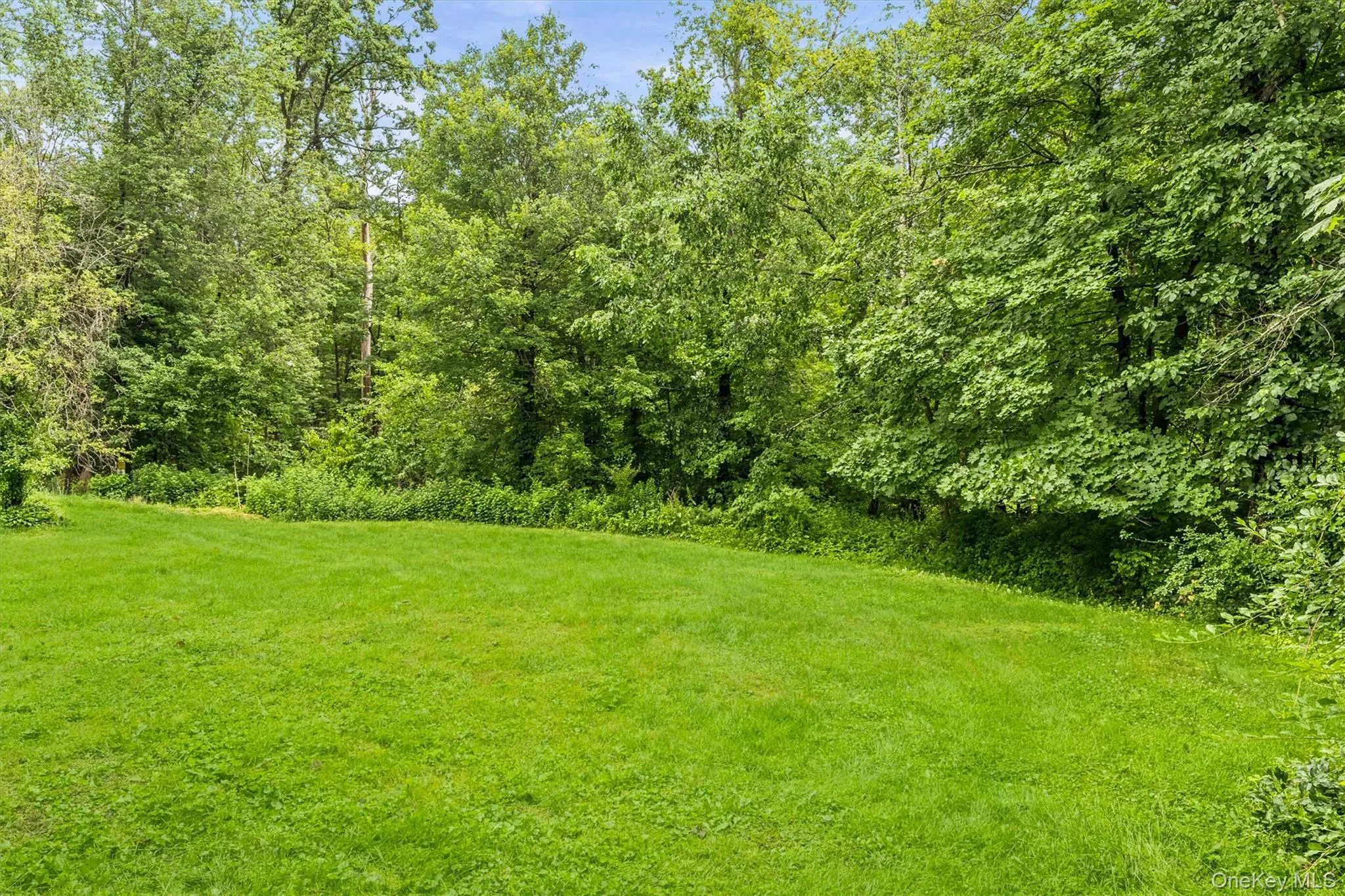 Lovely Yard Lovely Yard