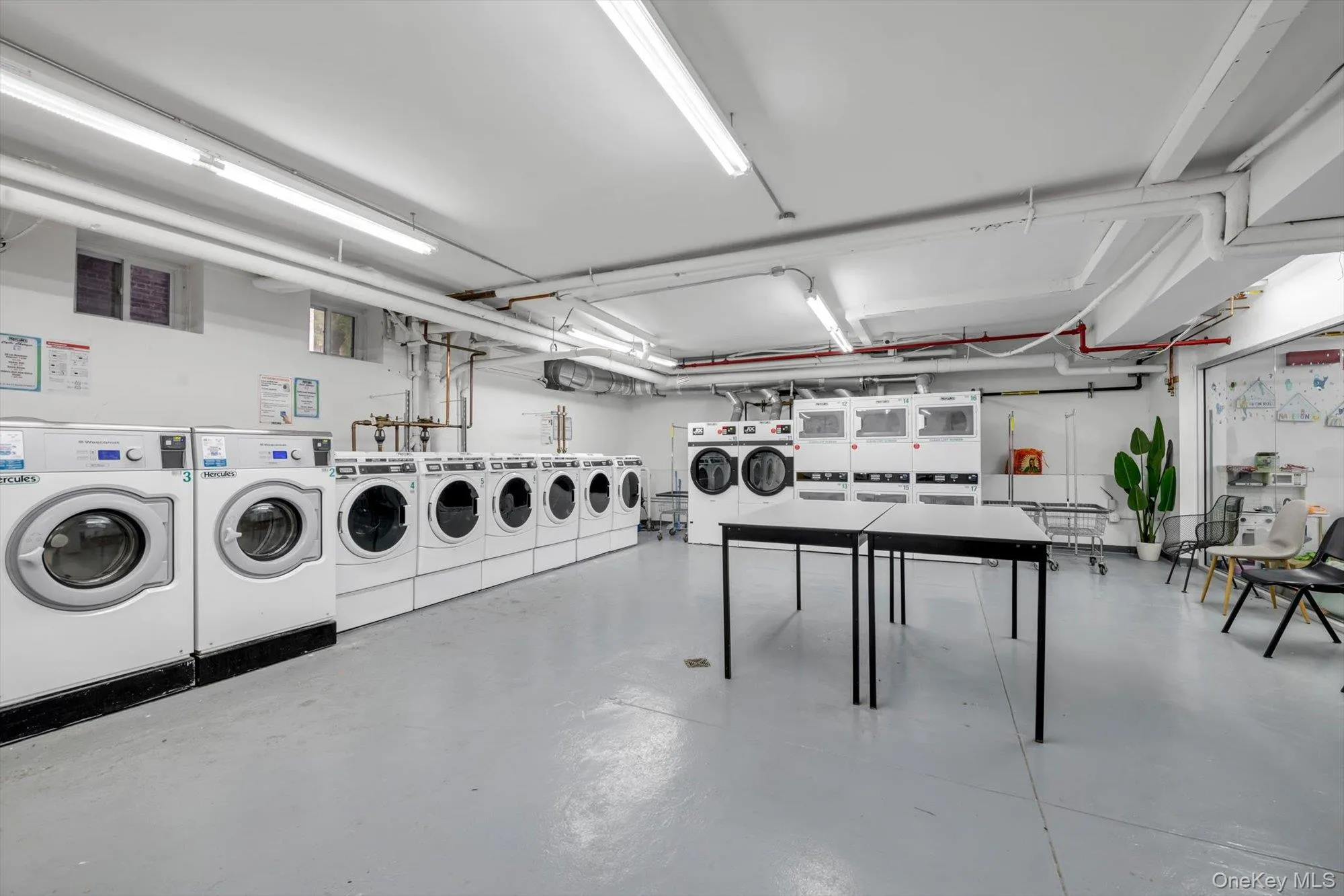 42-22 Ketcham Street, New York, NY, 1 Bedroom Bedrooms, 2 Rooms Rooms,1 BathroomBathrooms,Residential,For Rent,Ketcham,0,1014573 42-22 Ketcham Street, New York, NY, 1 Bedroom Bedrooms, 2 Rooms Rooms,1 BathroomBathrooms,Residential,For Rent,Ketcham,0,1014573