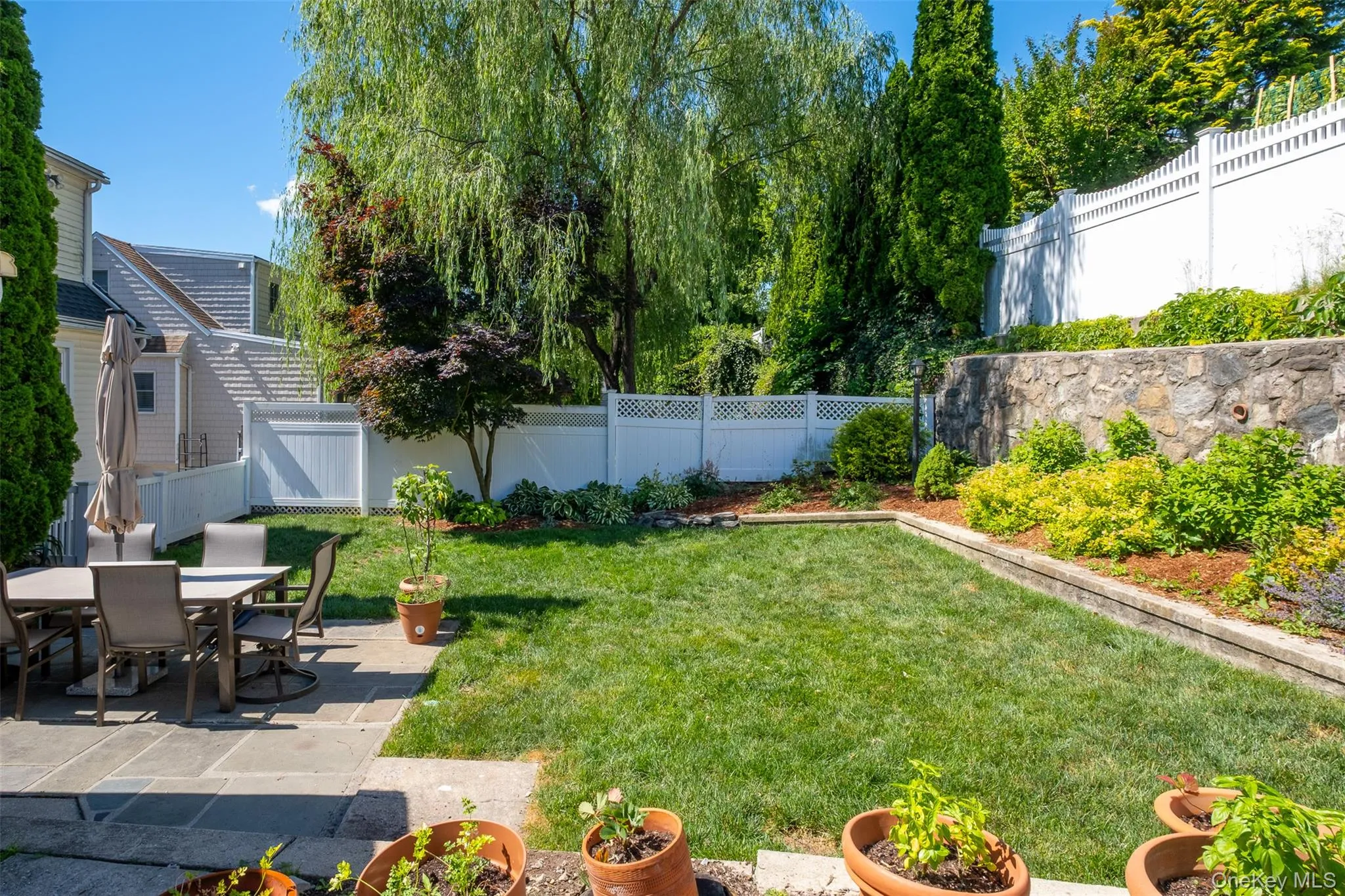 Backyard Backyard