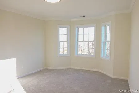 5 James Place, Deerpark, NY, 4 Bedrooms Bedrooms, 7 Rooms Rooms,2 BathroomsBathrooms,Residential,For Rent,James,0,1014582 5 James Place, Deerpark, NY, 4 Bedrooms Bedrooms, 7 Rooms Rooms,2 BathroomsBathrooms,Residential,For Rent,James,0,1014582