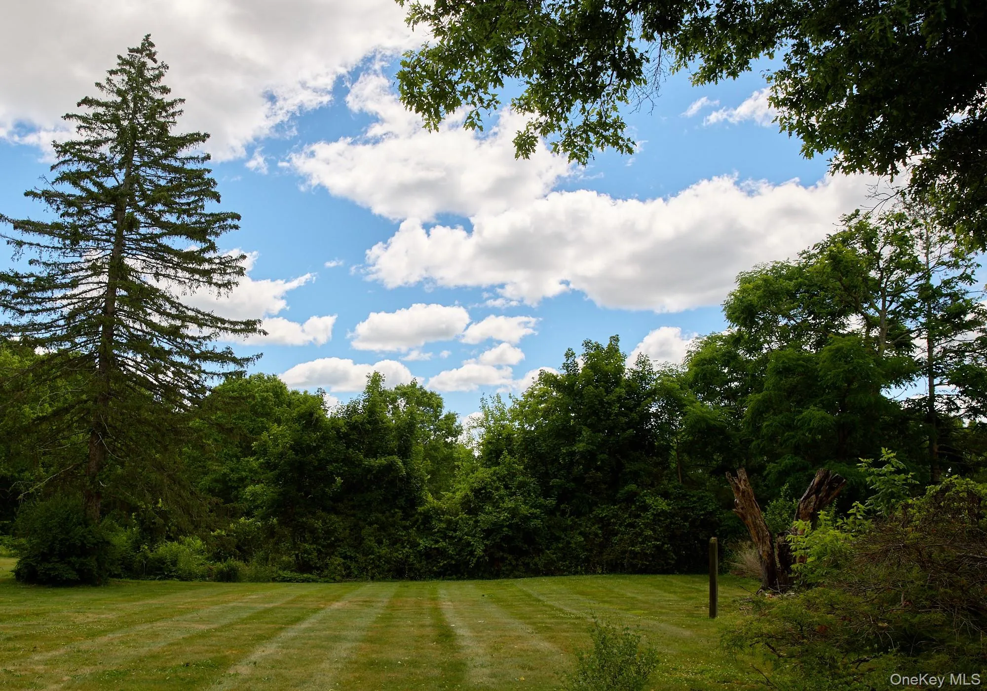 228 State Route 32, New Paltz, NY, 3 Bedrooms Bedrooms, 7 Rooms Rooms,1 BathroomBathrooms,Residential,For Rent,State Route 32,0,1014632 228 State Route 32, New Paltz, NY, 3 Bedrooms Bedrooms, 7 Rooms Rooms,1 BathroomBathrooms,Residential,For Rent,State Route 32,0,1014632