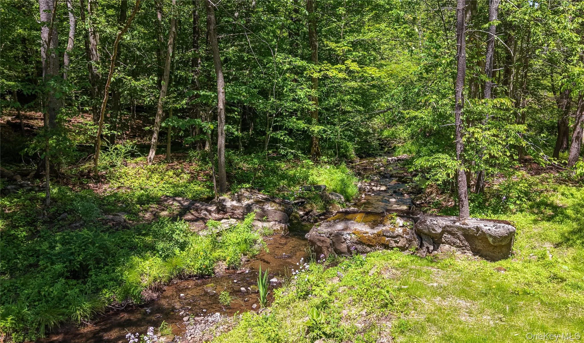 316 Mohonk Road, Marbletown, NY, 2 Bedrooms Bedrooms, 4 Rooms Rooms,1 BathroomBathrooms,Residential,For Rent,Mohonk,0,KEY1014637 316 Mohonk Road, Marbletown, NY, 2 Bedrooms Bedrooms, 4 Rooms Rooms,1 BathroomBathrooms,Residential,For Rent,Mohonk,0,KEY1014637