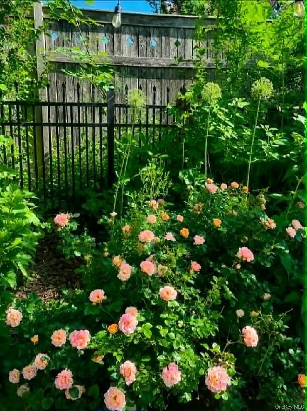 200 Nelson Avenue, Peekskill, NY, 5 Bedrooms Bedrooms, 10 Rooms Rooms,2 BathroomsBathrooms,Residential,For Rent,Nelson,0,1014641 200 Nelson Avenue, Peekskill, NY, 5 Bedrooms Bedrooms, 10 Rooms Rooms,2 BathroomsBathrooms,Residential,For Rent,Nelson,0,1014641