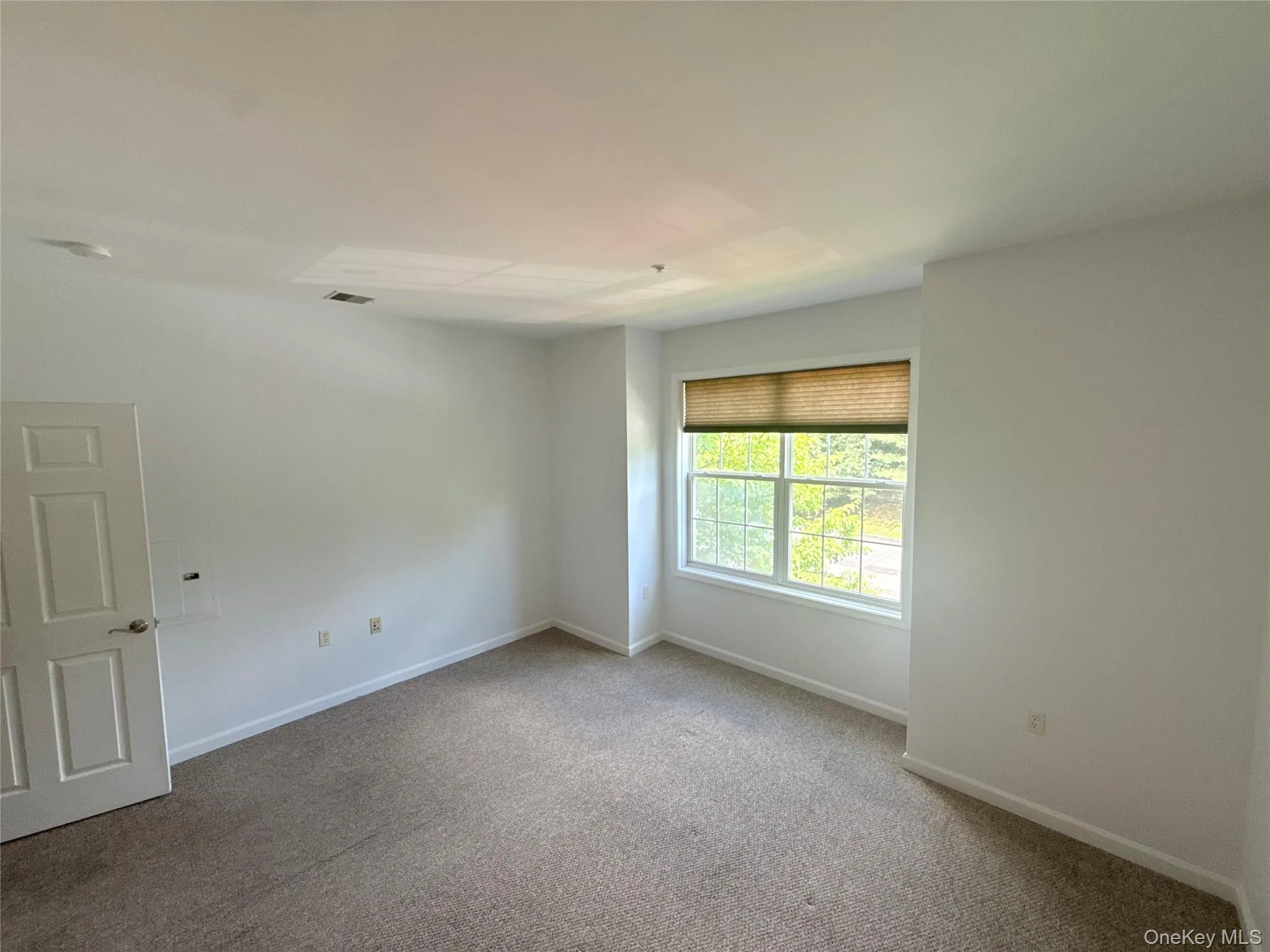 Carpeted interior space featuring a multi-pane window with a woven shade, white trim, and a paneled door Carpeted interior space featuring a multi-pane window with a woven shade, white trim, and a paneled door