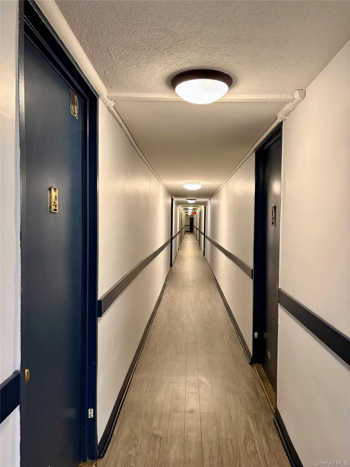 209-10 41st Avenue, New York, NY, 3 Rooms Rooms,1 BathroomBathrooms,Residential,For Rent,41st,0,1014704 209-10 41st Avenue, New York, NY, 3 Rooms Rooms,1 BathroomBathrooms,Residential,For Rent,41st,0,1014704