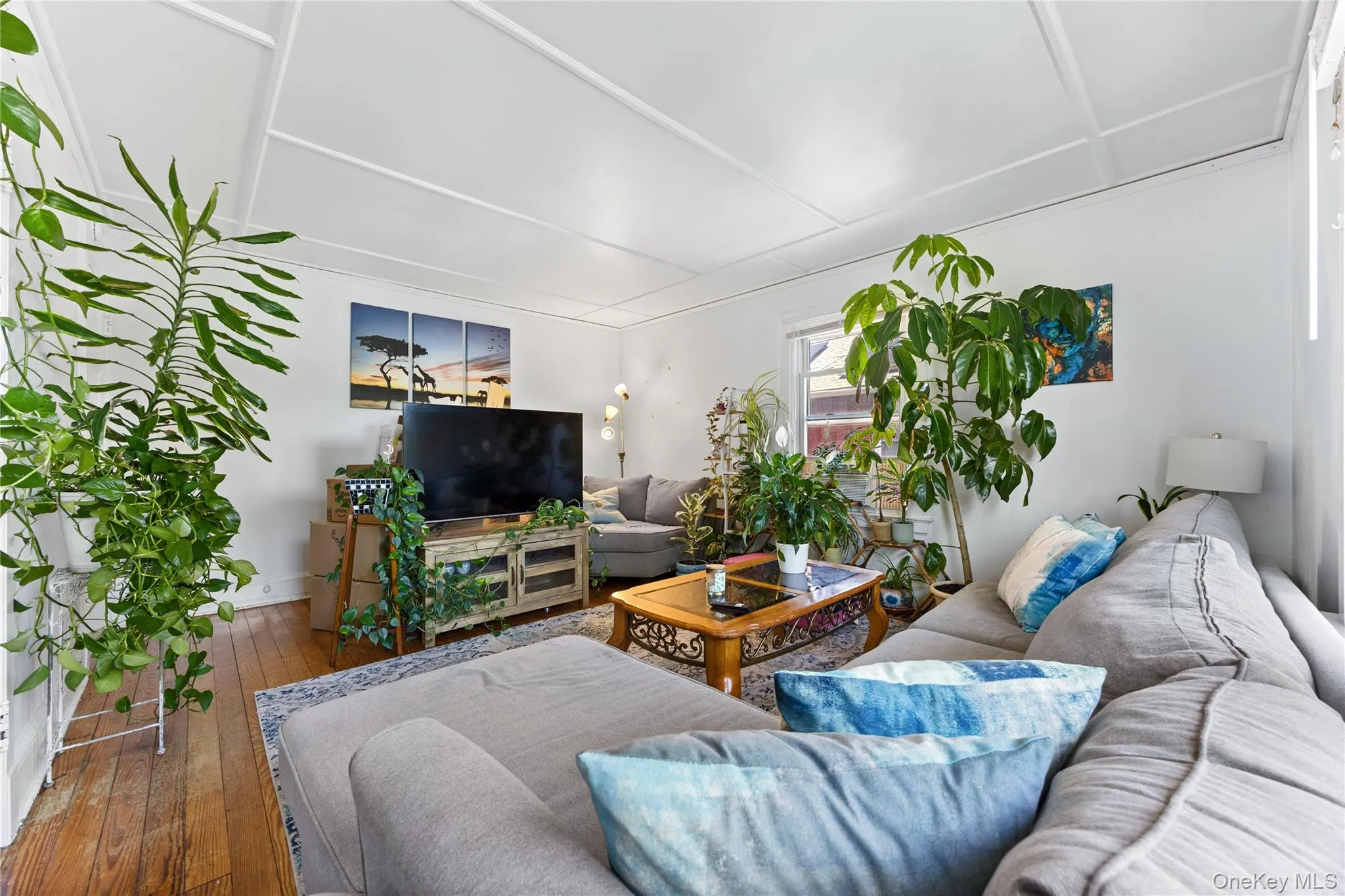 Living room. Living room.