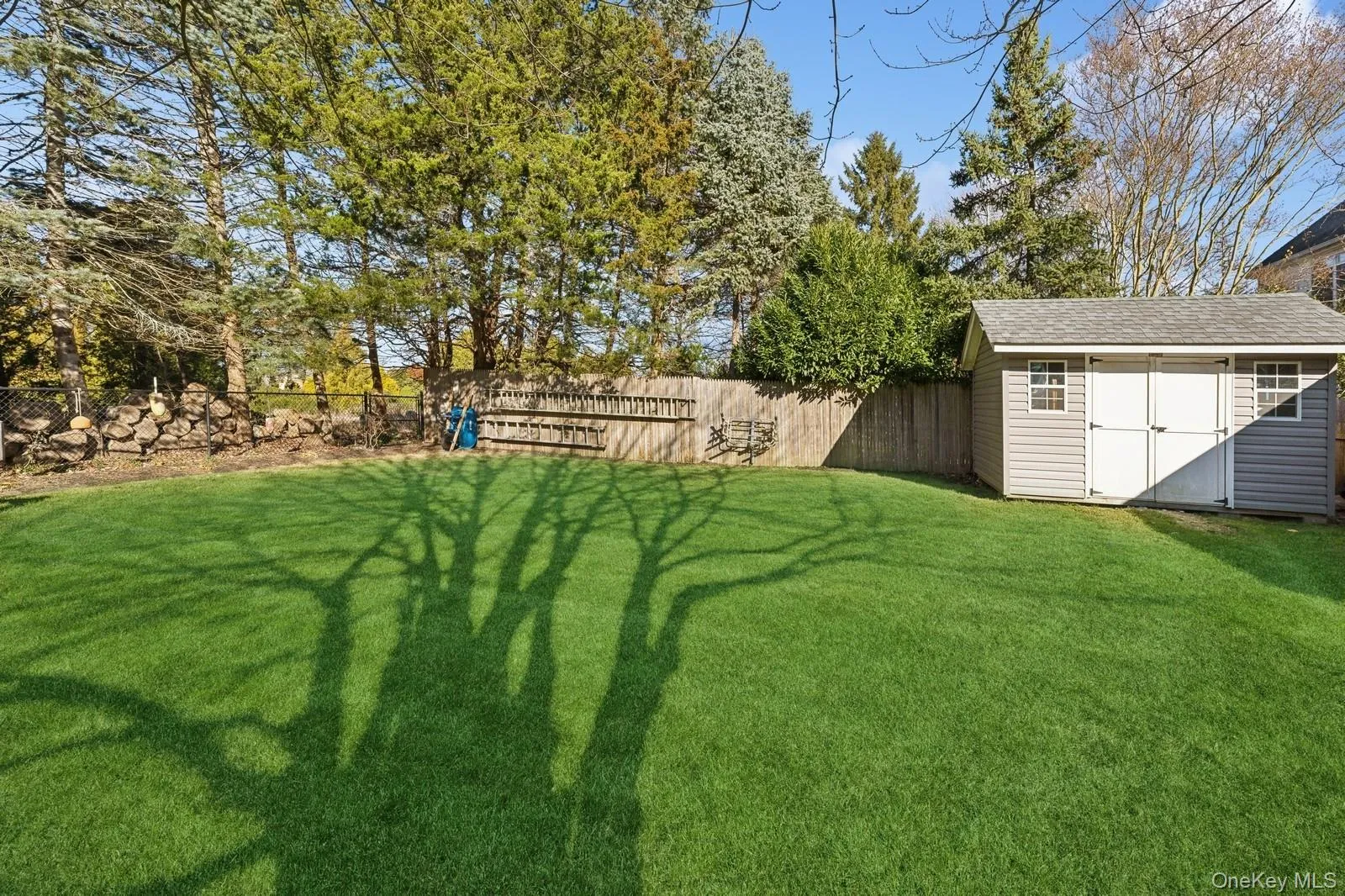 View of yard View of yard