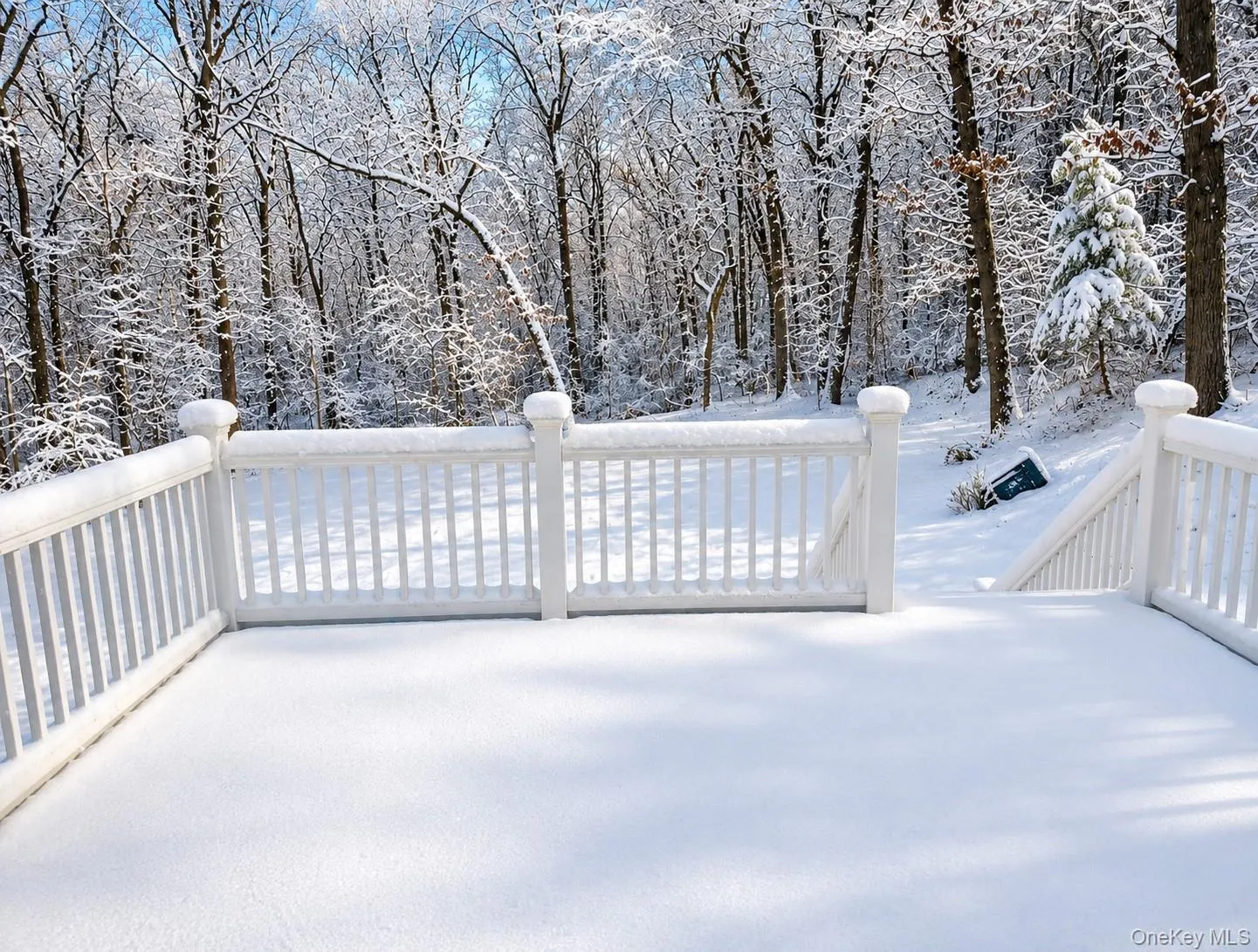 Back of home- Winter Back of home- Winter
