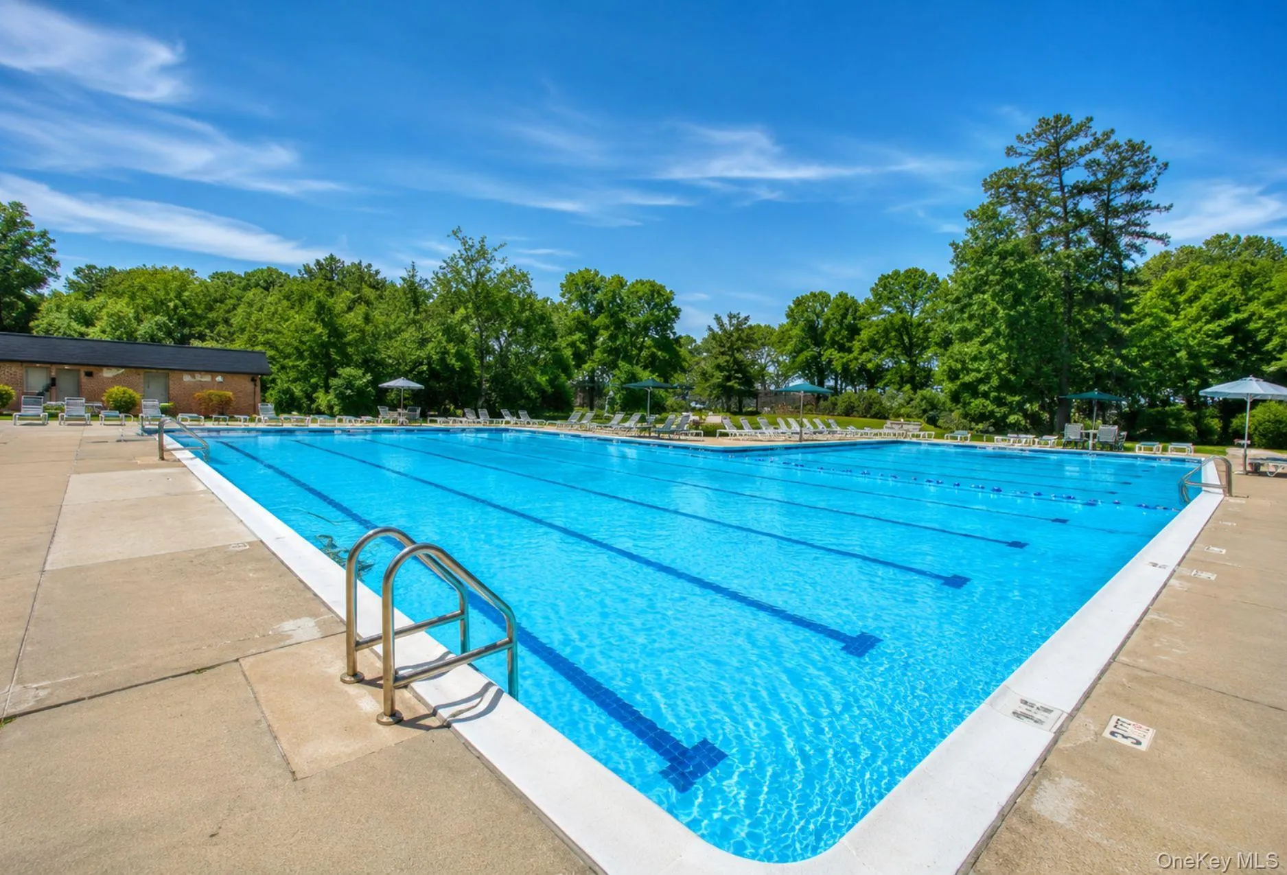 97 Artist Lake Drive, Brookhaven, NY, 1 Bedroom Bedrooms, 4 Rooms Rooms,1 BathroomBathrooms,Residential,For Rent,Artist Lake,0,1014836 97 Artist Lake Drive, Brookhaven, NY, 1 Bedroom Bedrooms, 4 Rooms Rooms,1 BathroomBathrooms,Residential,For Rent,Artist Lake,0,1014836