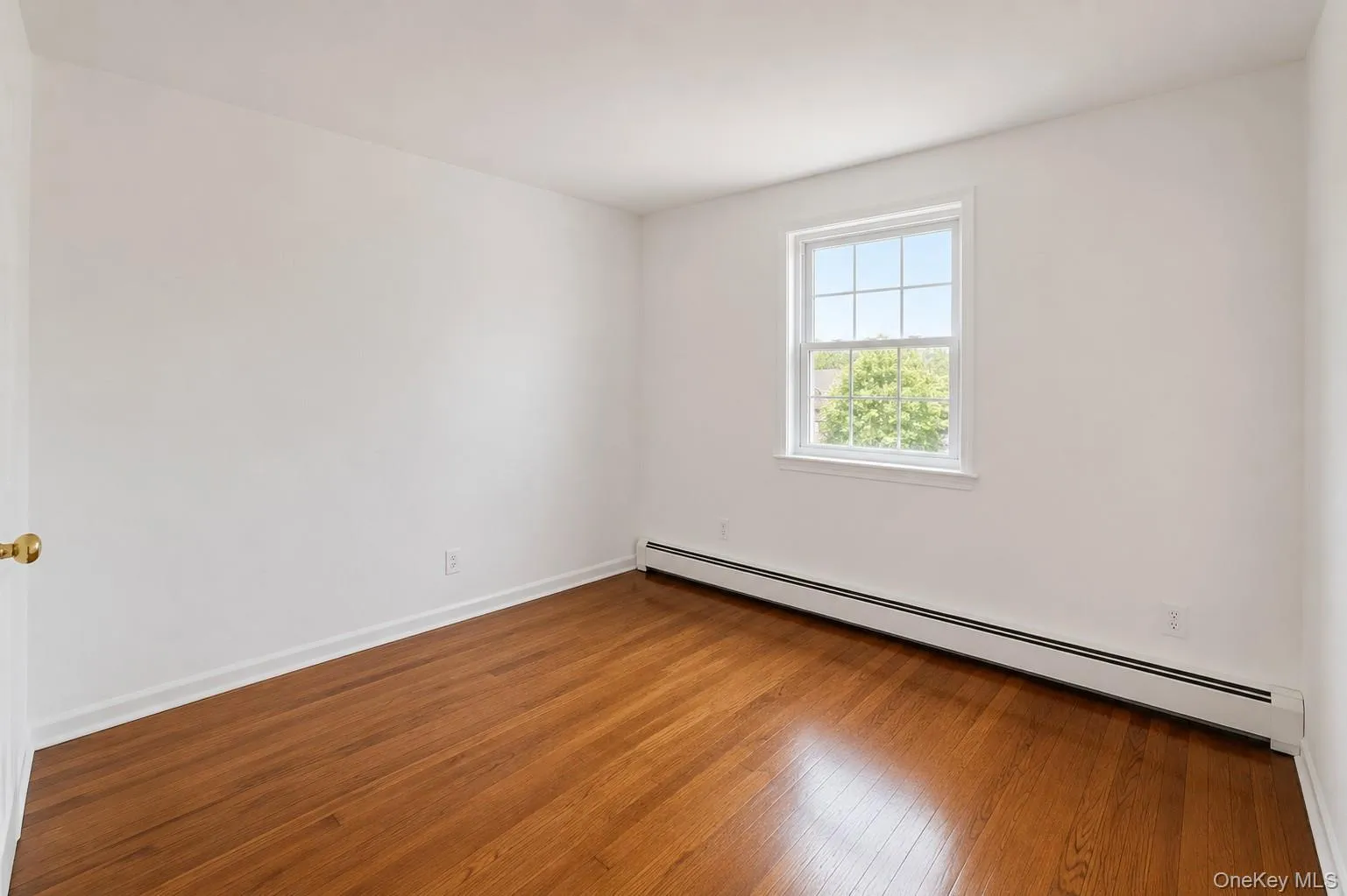 288 Frederick Avenue, Hempstead, NY, 3 Bedrooms Bedrooms, 6 Rooms Rooms,2 BathroomsBathrooms,Residential,For Rent,Frederick,0,1014884 288 Frederick Avenue, Hempstead, NY, 3 Bedrooms Bedrooms, 6 Rooms Rooms,2 BathroomsBathrooms,Residential,For Rent,Frederick,0,1014884