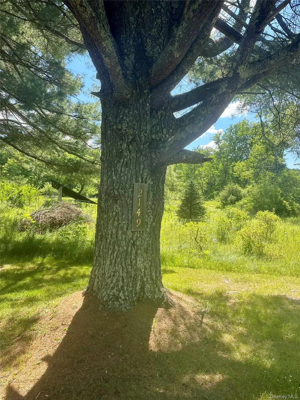 2147-2149 Beaverkill Road, Hardenburgh, NY, 3 Bedrooms Bedrooms, 9 Rooms Rooms,2 BathroomsBathrooms,Residential Lease,For Rent,Beaverkill,0,KEY1014888 2147-2149 Beaverkill Road, Hardenburgh, NY, 3 Bedrooms Bedrooms, 9 Rooms Rooms,2 BathroomsBathrooms,Residential Lease,For Rent,Beaverkill,0,KEY1014888