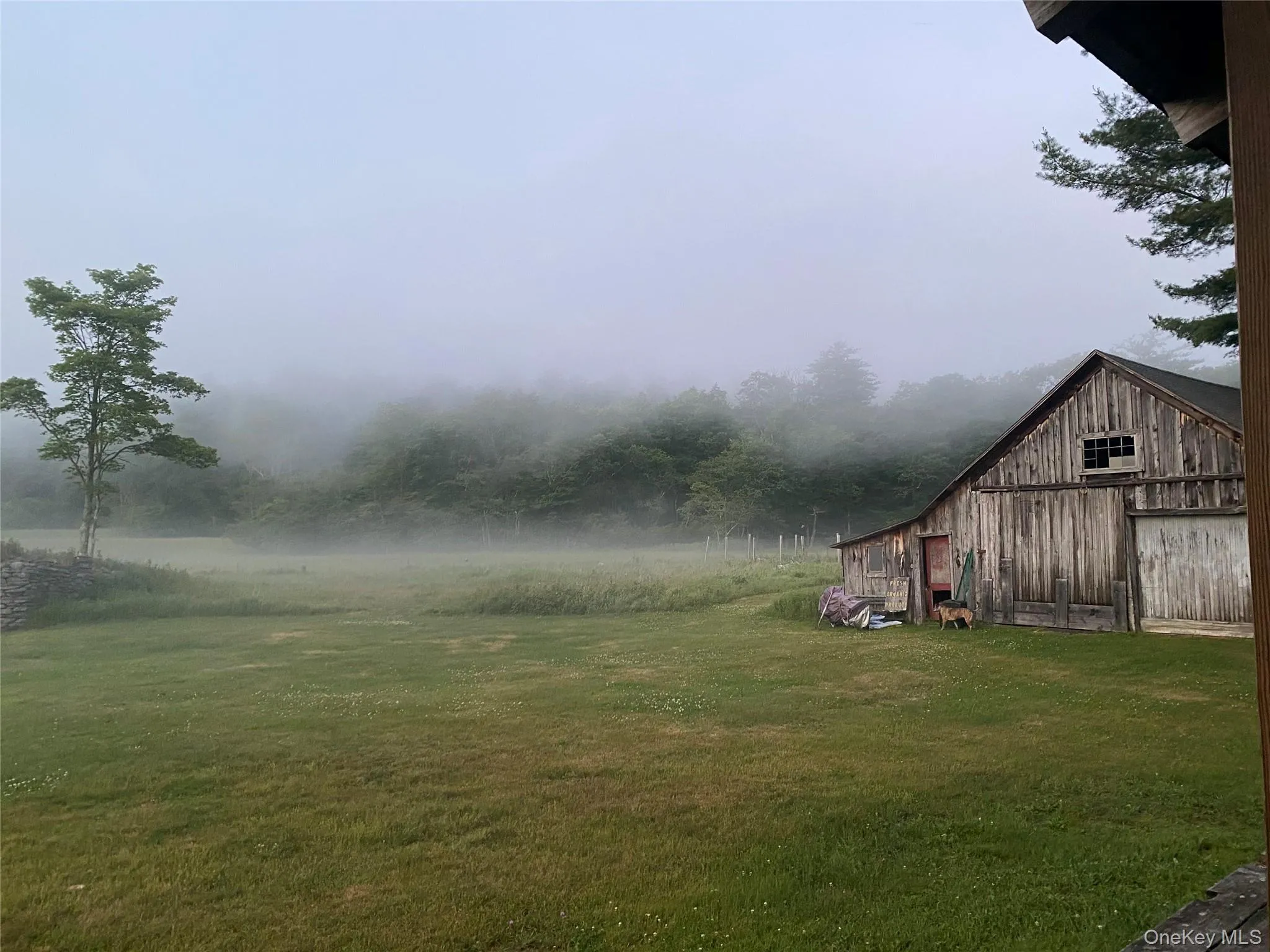 2147-2149 Beaverkill Road, Hardenburgh, NY, 3 Bedrooms Bedrooms, 9 Rooms Rooms,2 BathroomsBathrooms,Residential Lease,For Rent,Beaverkill,0,KEY1014888 2147-2149 Beaverkill Road, Hardenburgh, NY, 3 Bedrooms Bedrooms, 9 Rooms Rooms,2 BathroomsBathrooms,Residential Lease,For Rent,Beaverkill,0,KEY1014888