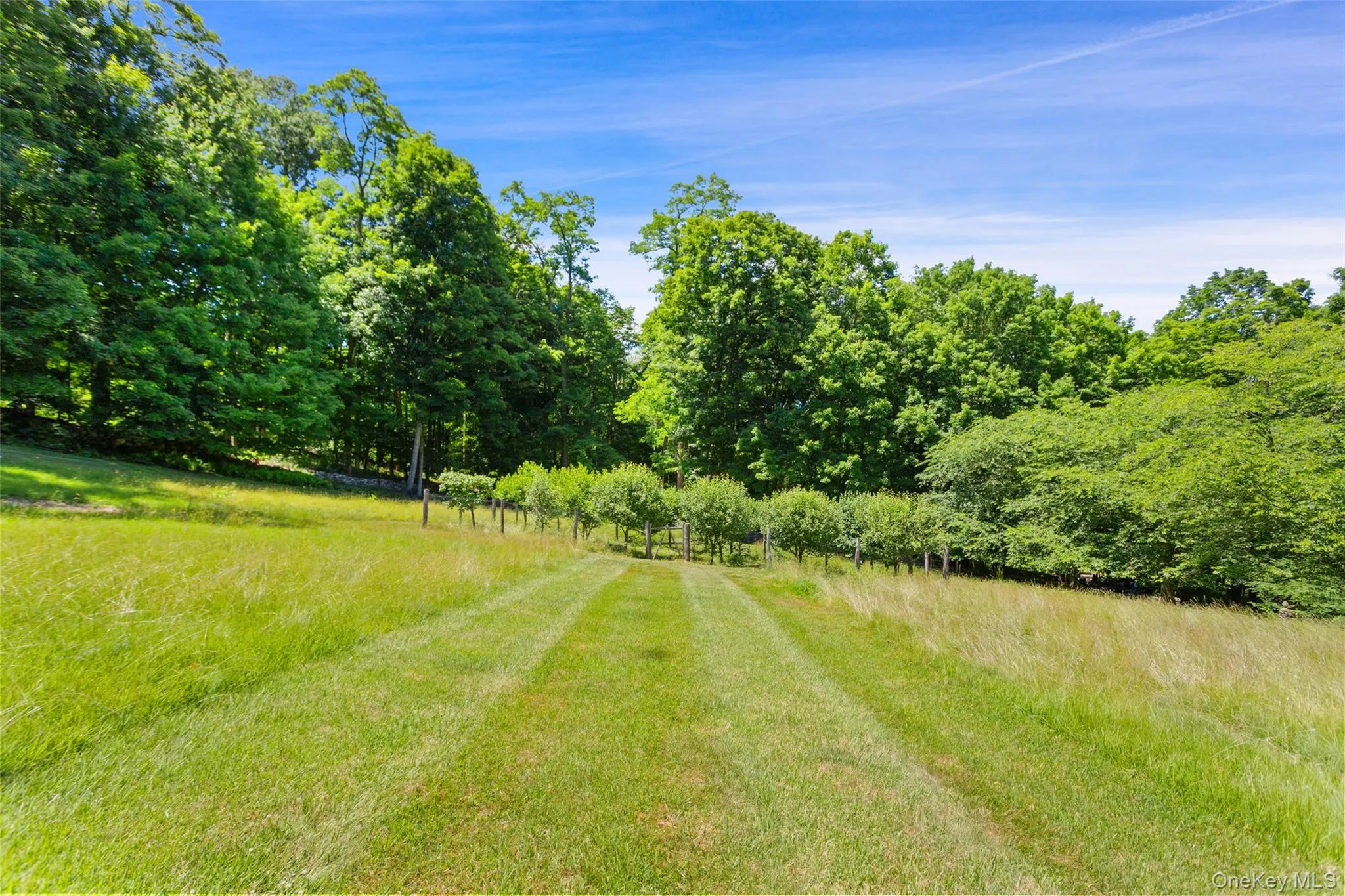242 Croton Lake Road, Bedford, NY, 5 Bedrooms Bedrooms, 10 Rooms Rooms,5 BathroomsBathrooms,Residential,For Rent,Croton Lake,0,1014891 242 Croton Lake Road, Bedford, NY, 5 Bedrooms Bedrooms, 10 Rooms Rooms,5 BathroomsBathrooms,Residential,For Rent,Croton Lake,0,1014891