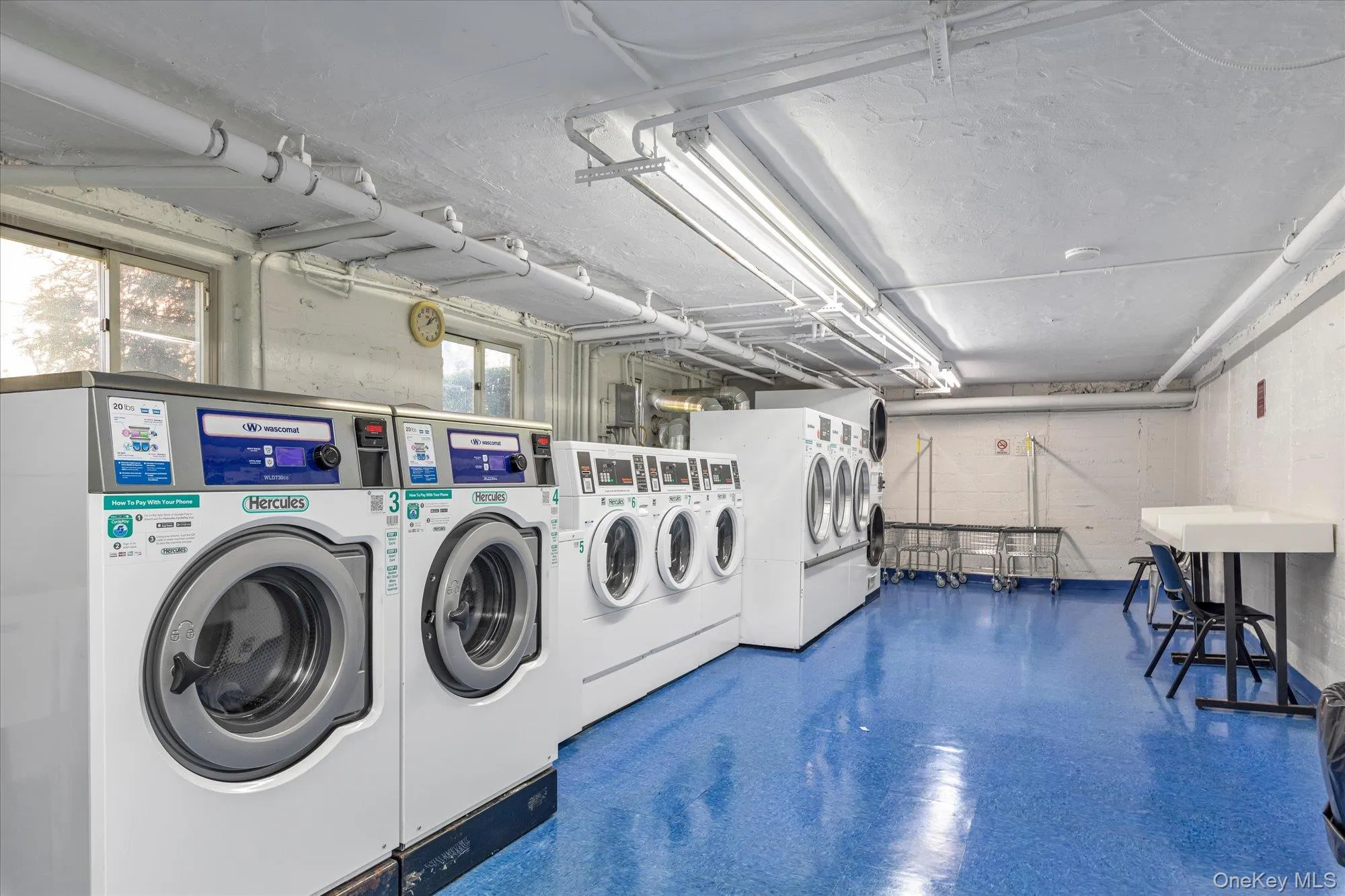 9 Edwards, North Hempstead, NY, 1 Bedroom Bedrooms, 3 Rooms Rooms,1 BathroomBathrooms,Residential,For Rent,Edwards,0,1014923 9 Edwards, North Hempstead, NY, 1 Bedroom Bedrooms, 3 Rooms Rooms,1 BathroomBathrooms,Residential,For Rent,Edwards,0,1014923